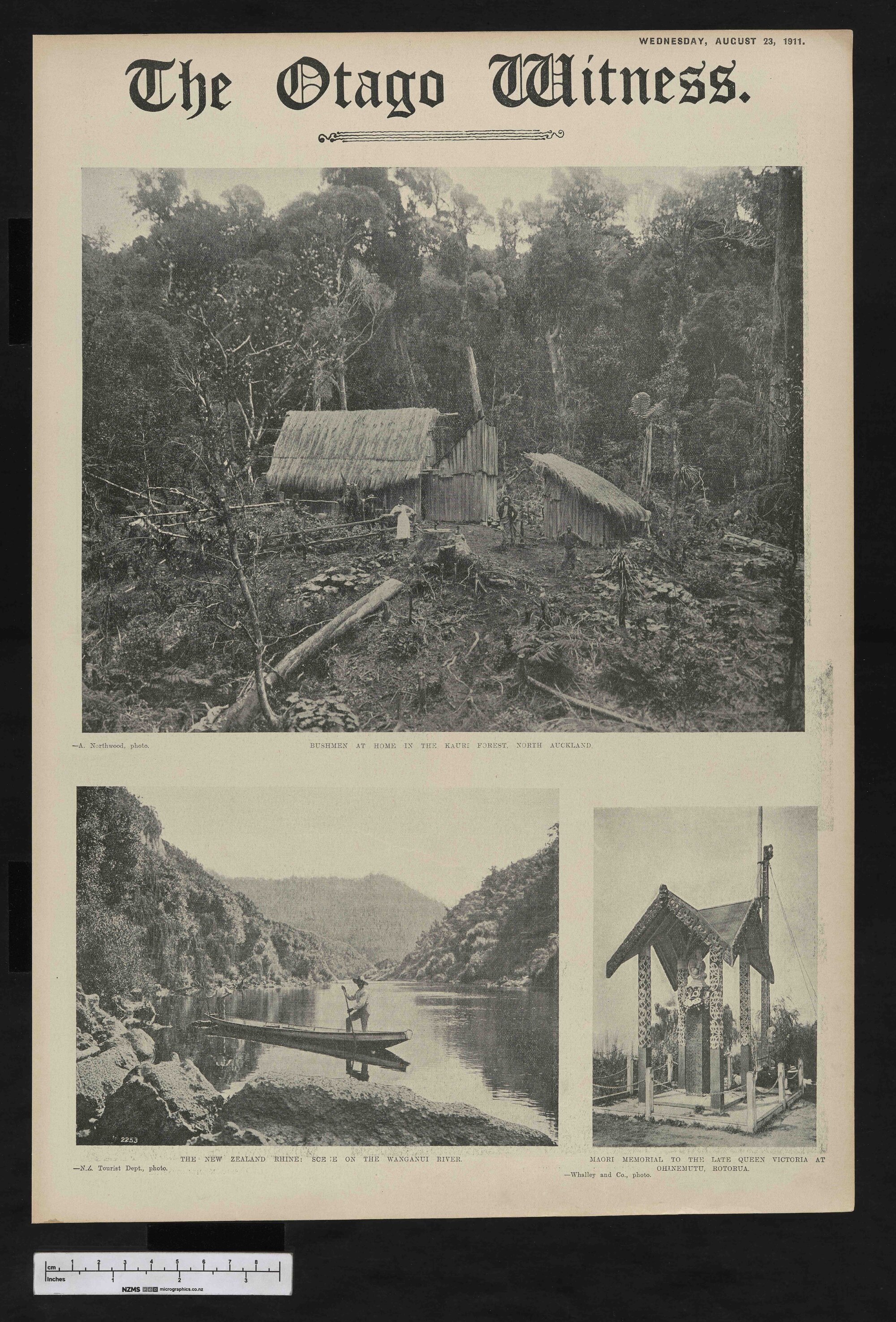 1911-08-23 Otago Witness