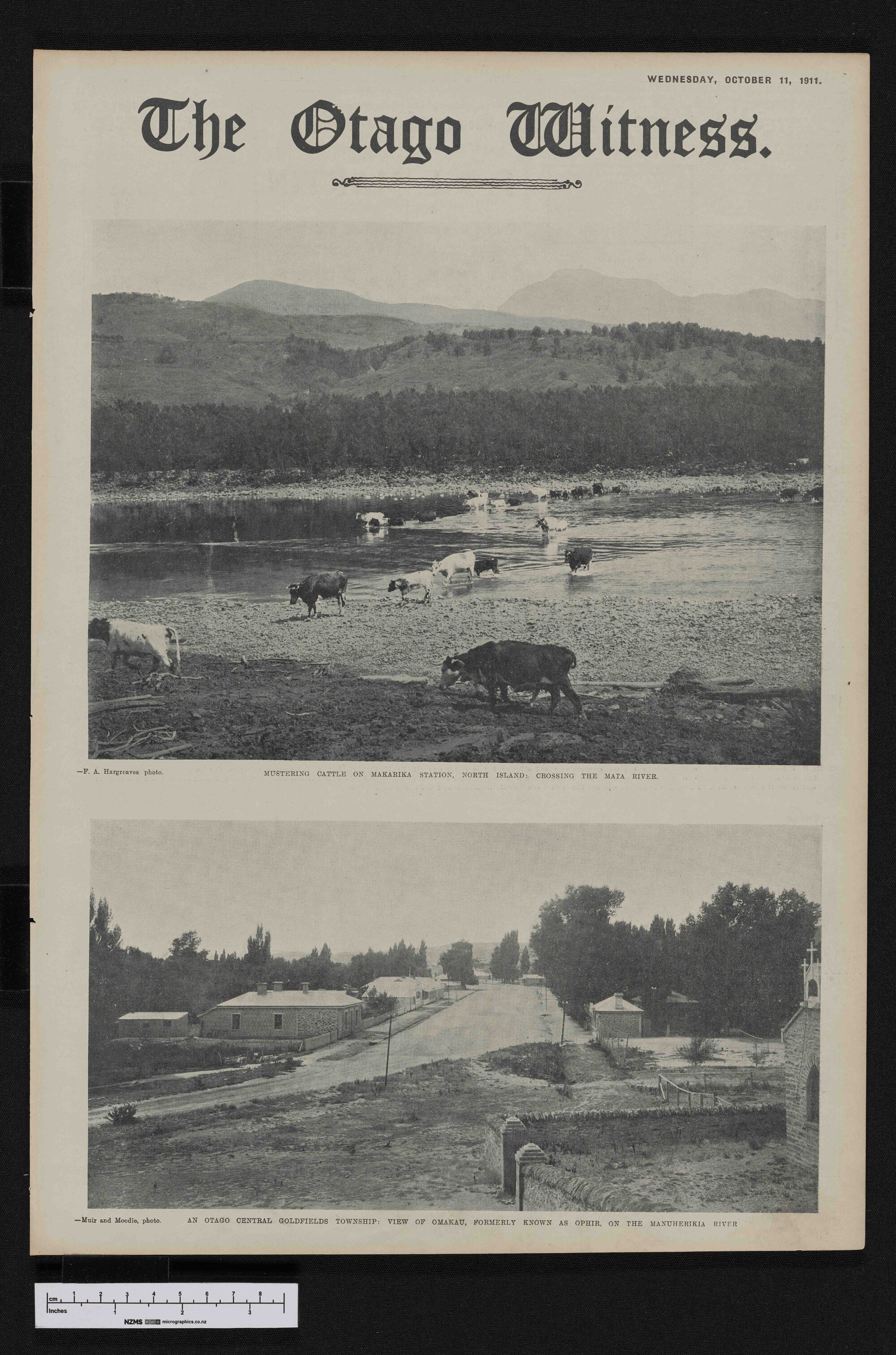 1911-10-11 Otago Witness