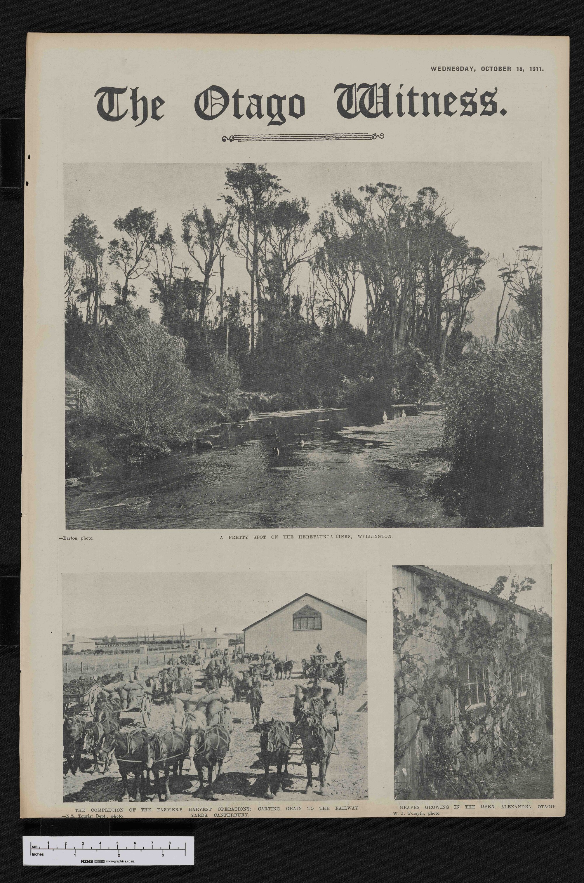 1911-10-18 Otago Witness