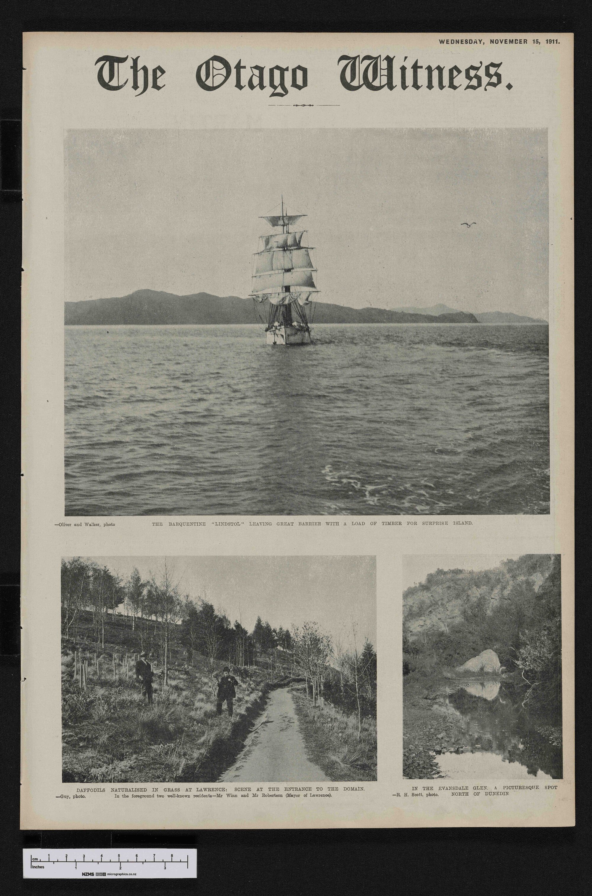 1911-11-15 Otago Witness