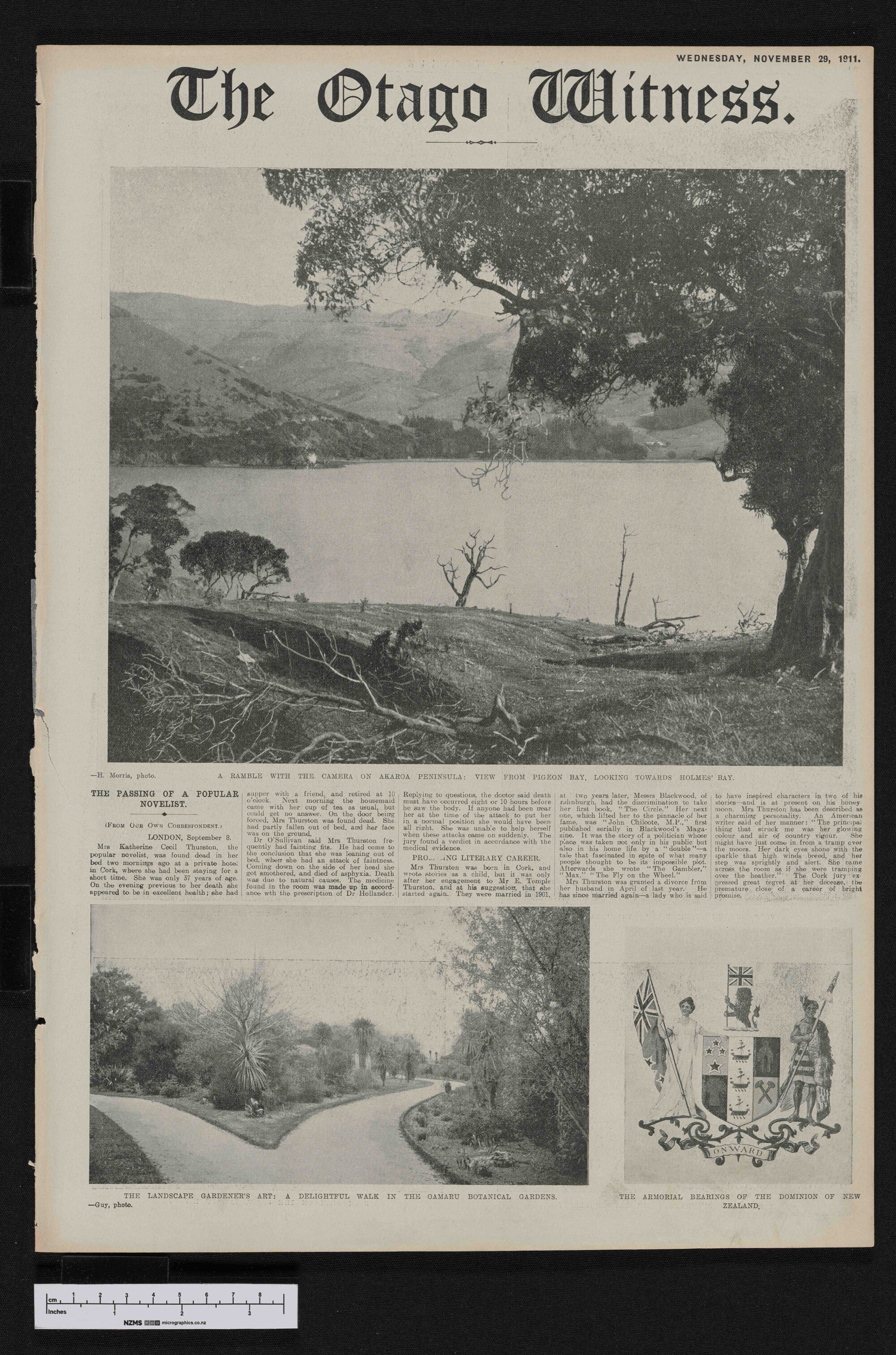 1911-11-29 Otago Witness