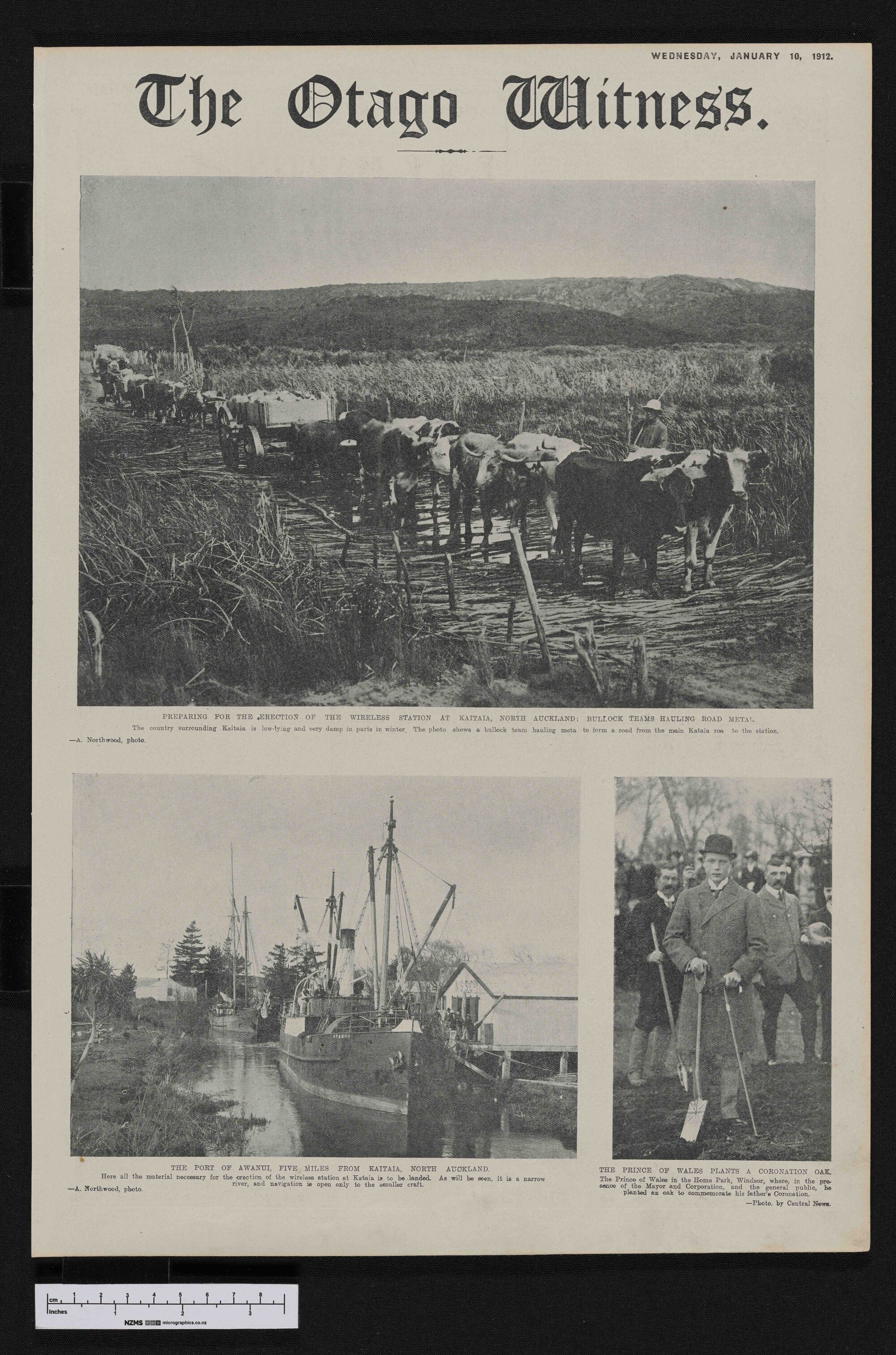 1912-01-10 Otago Witness