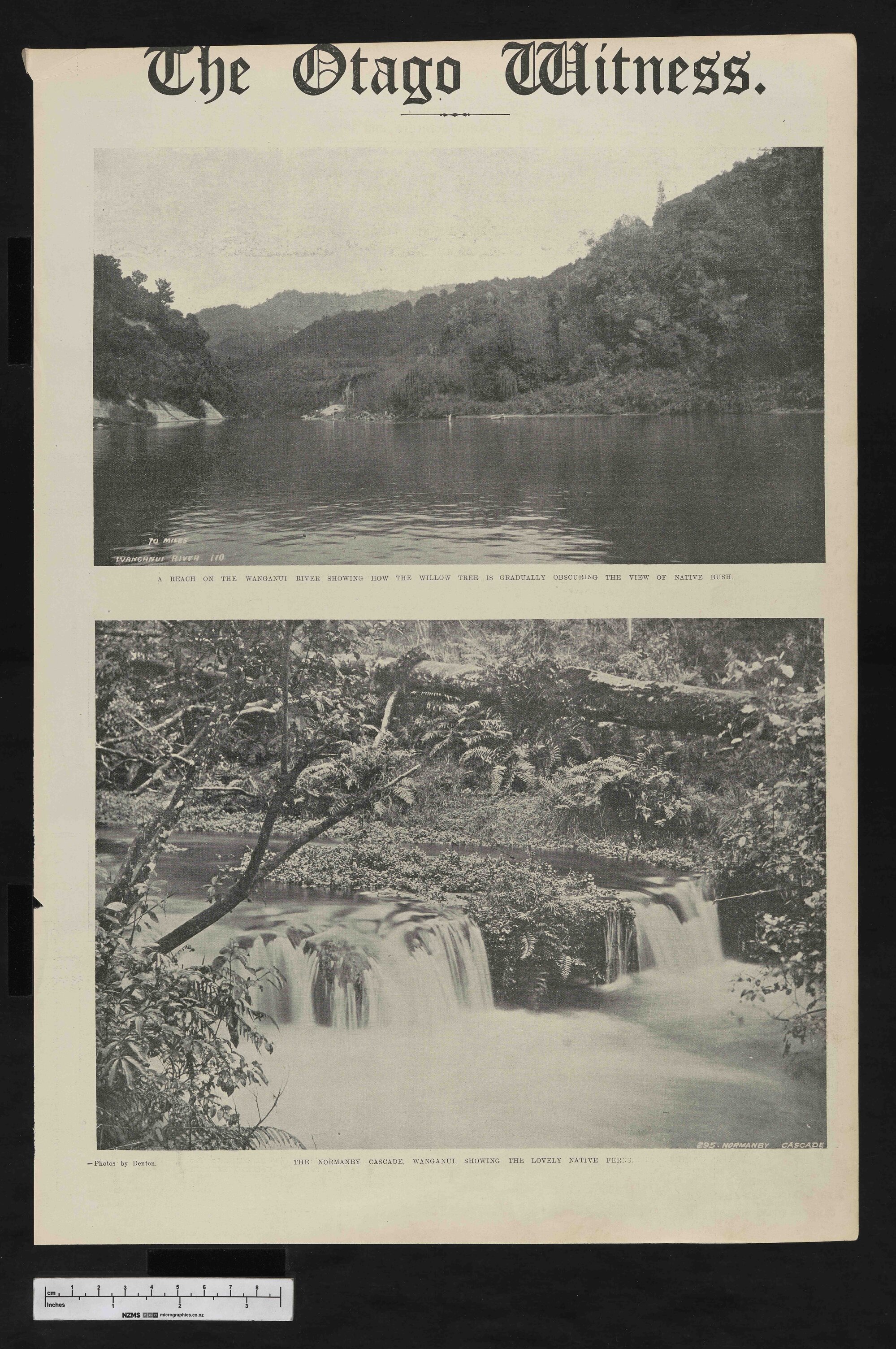 1912-05-22 Otago Witness