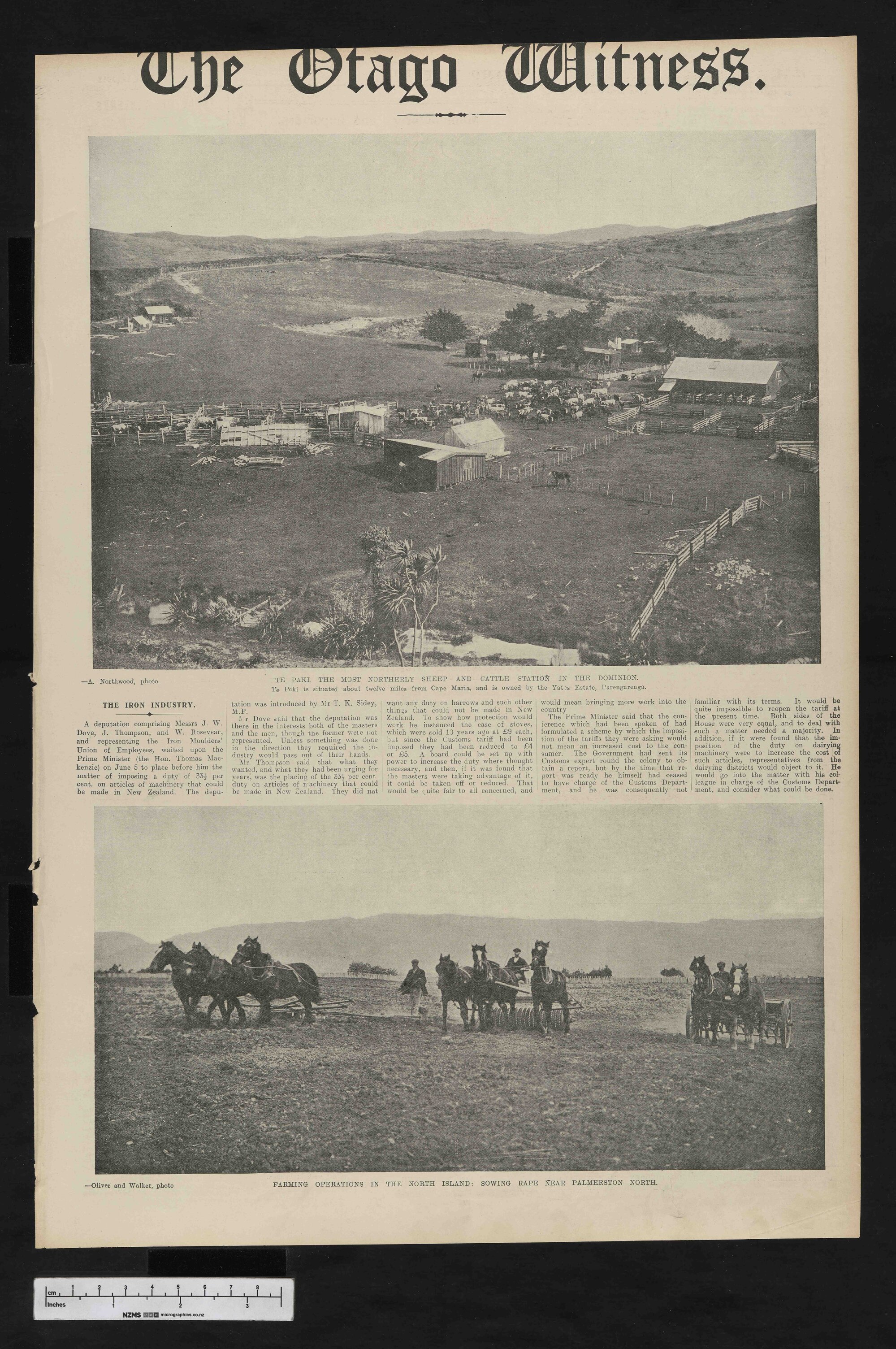 1912-06-12 Otago Witness