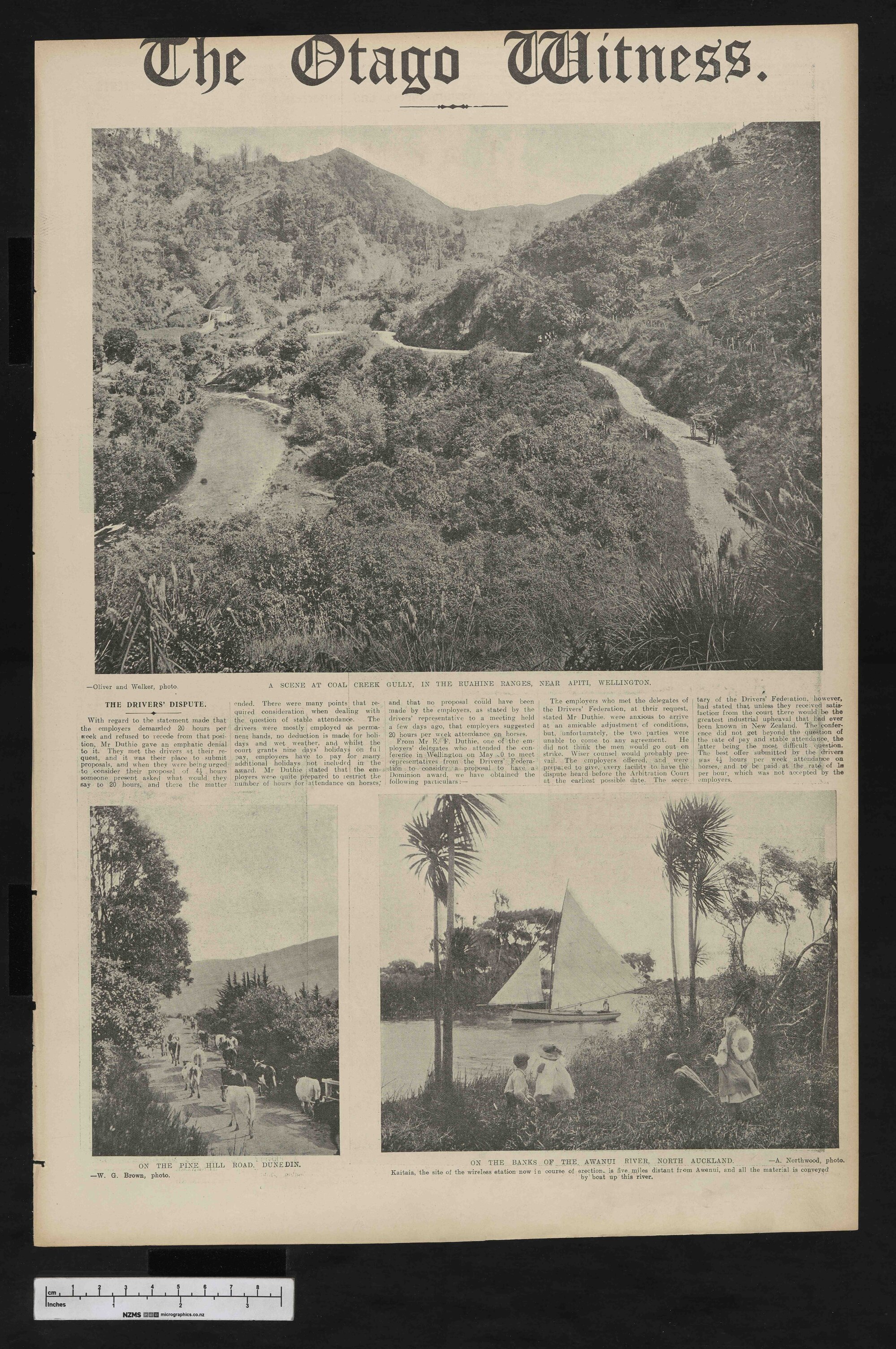 1912-06-19 Otago Witness