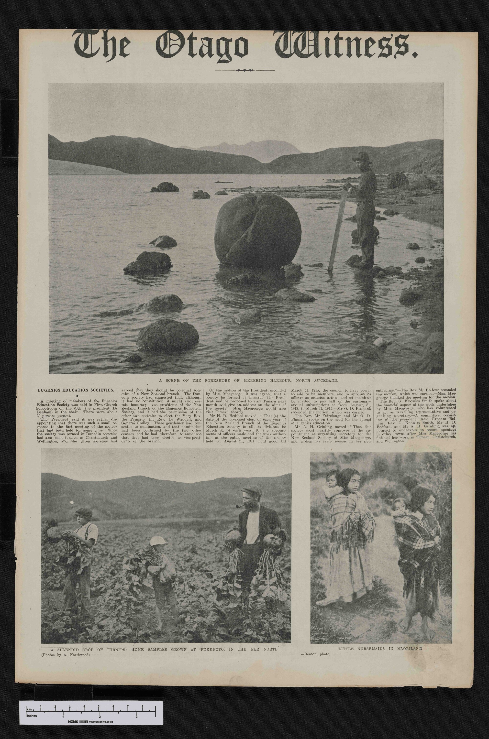 1912-07-03 Otago Witness