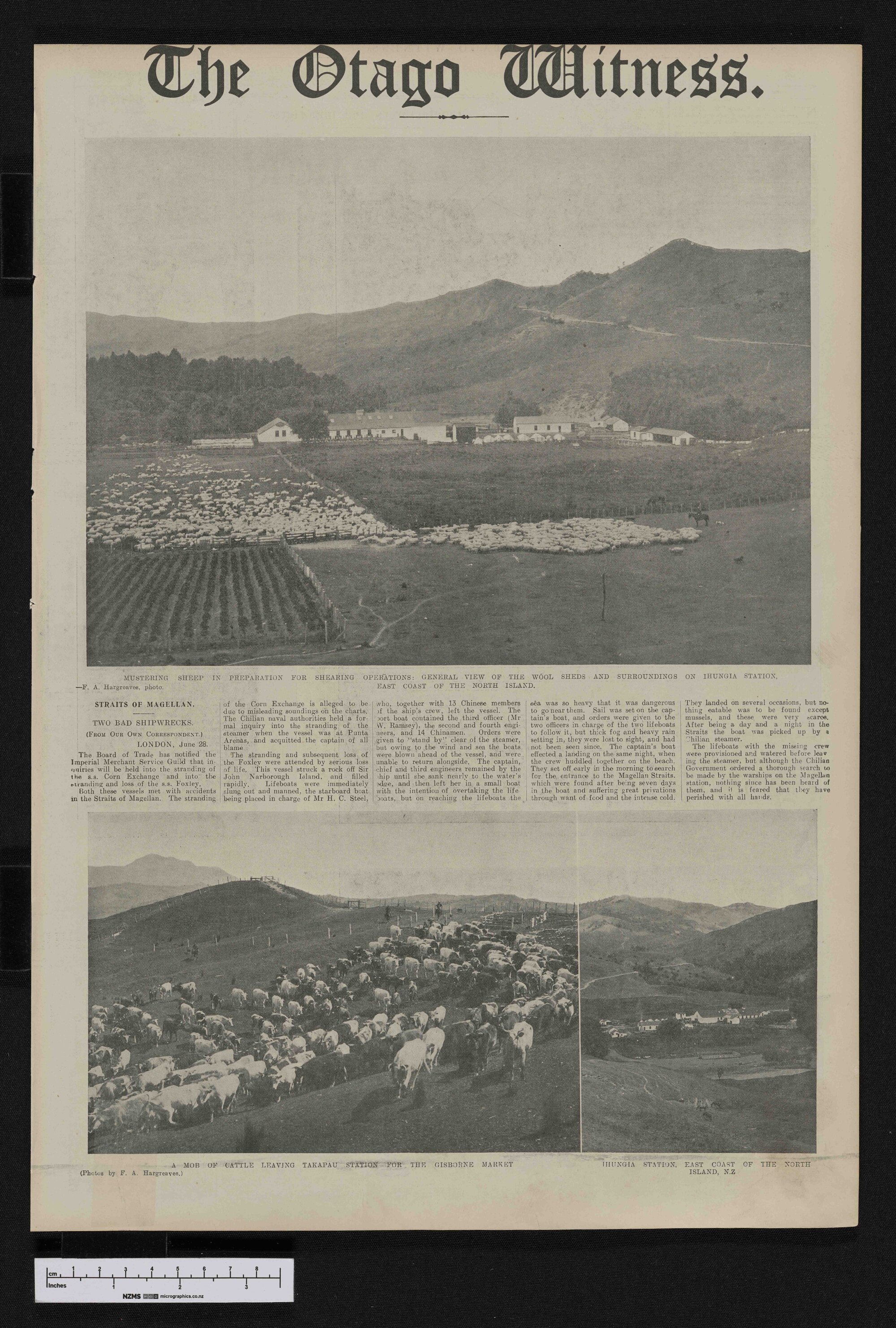 1912-08-21 Otago Witness