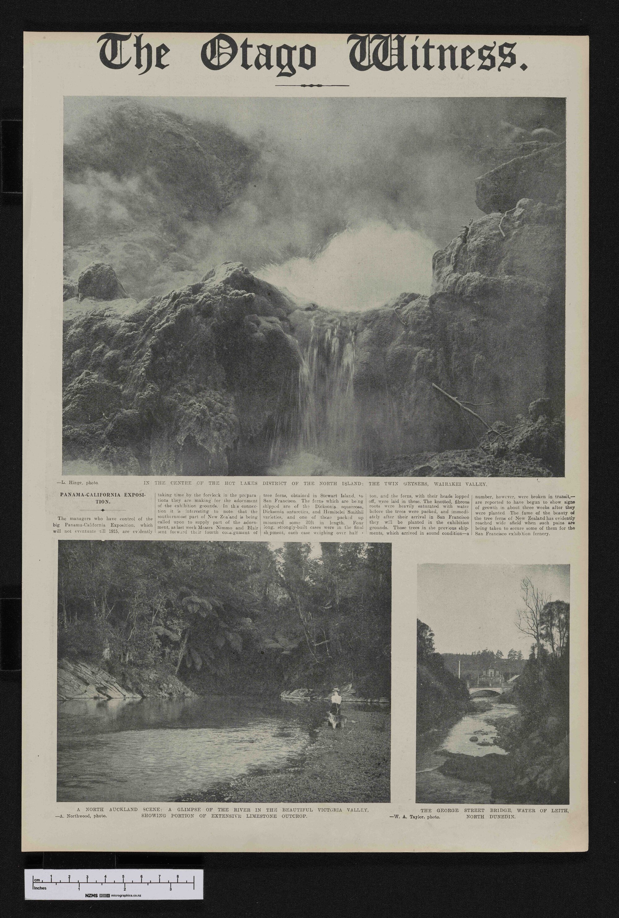 1913-01-08 Otago Witness