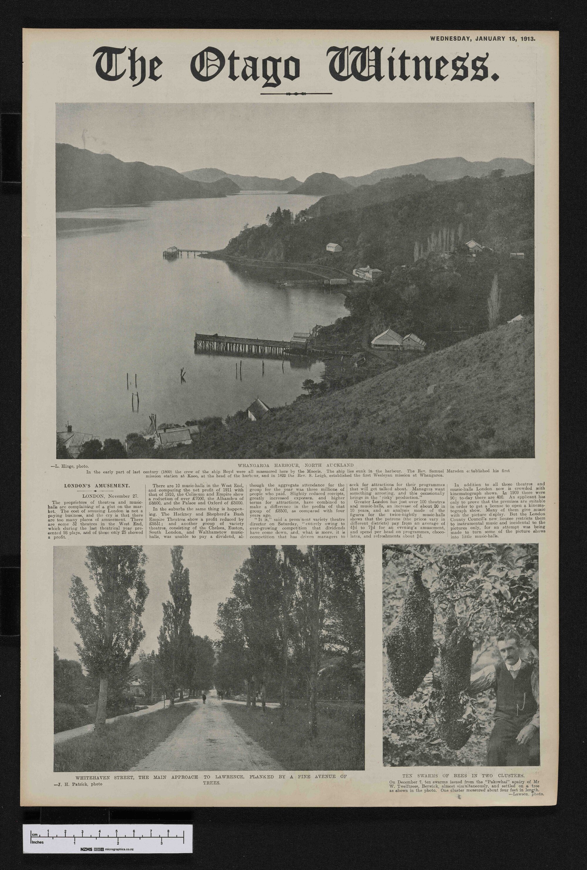1913-01-15 Otago Witness