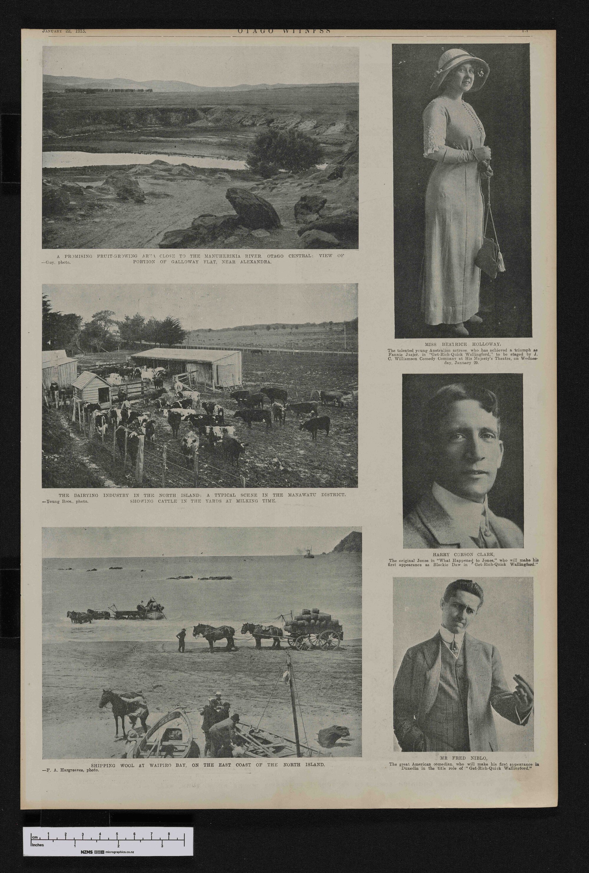 1913-01-22 Otago Witness