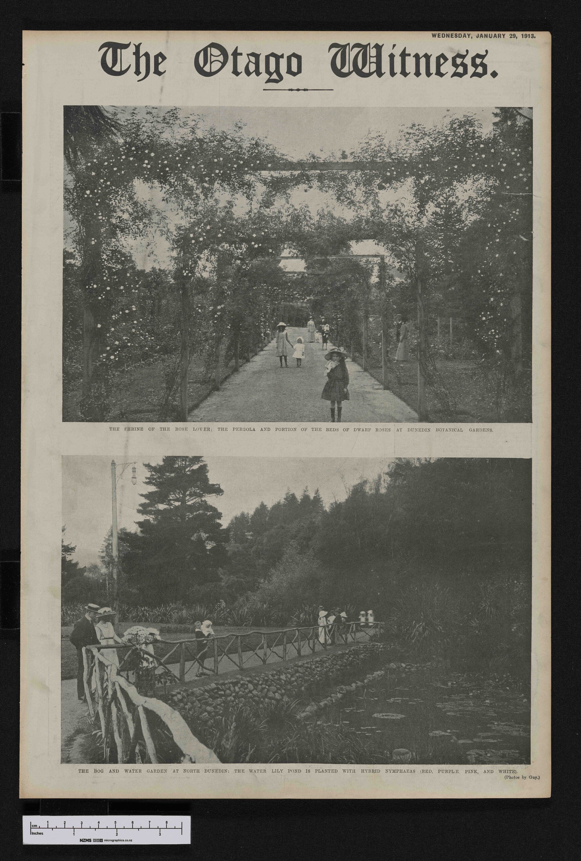 1913-01-29 Otago Witness