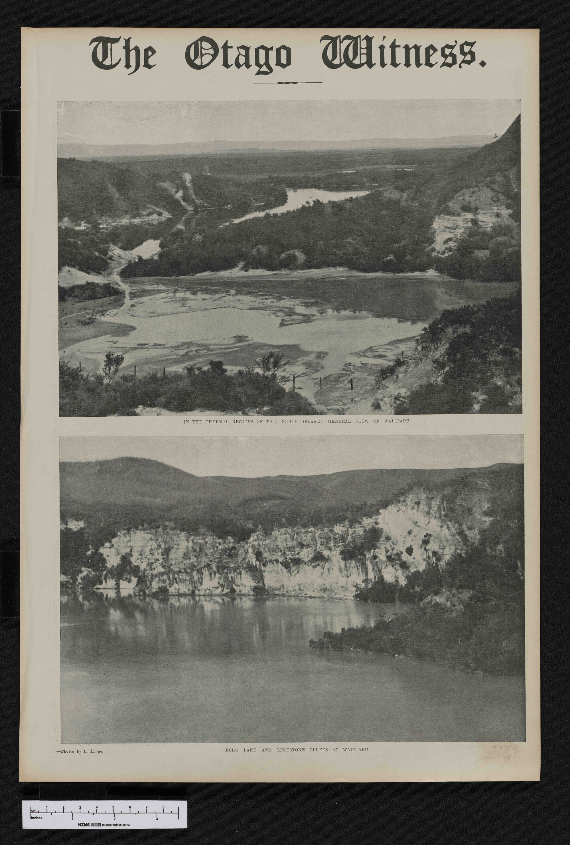 1913-02-05 Otago Witness