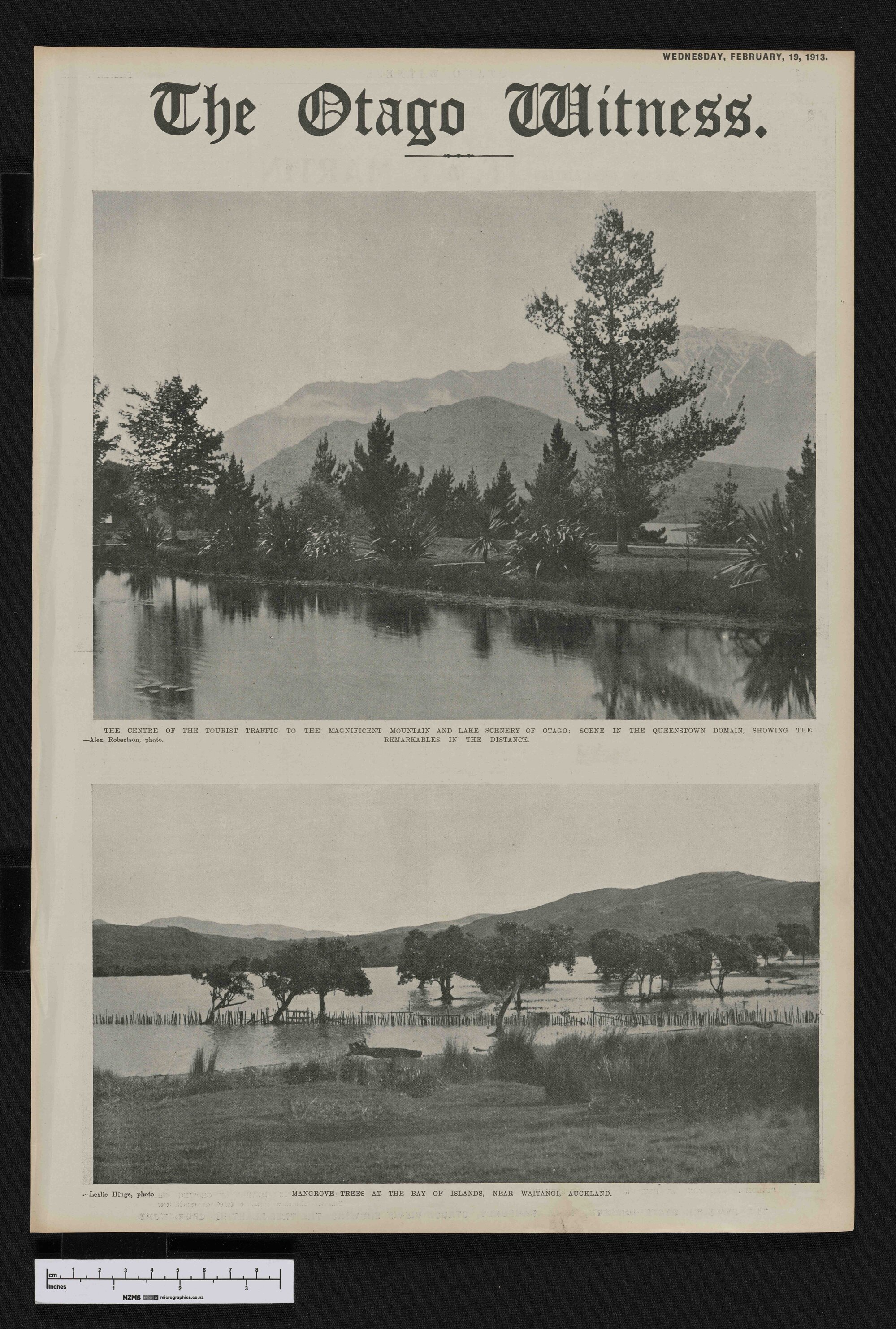 1913-02-19 Otago Witness