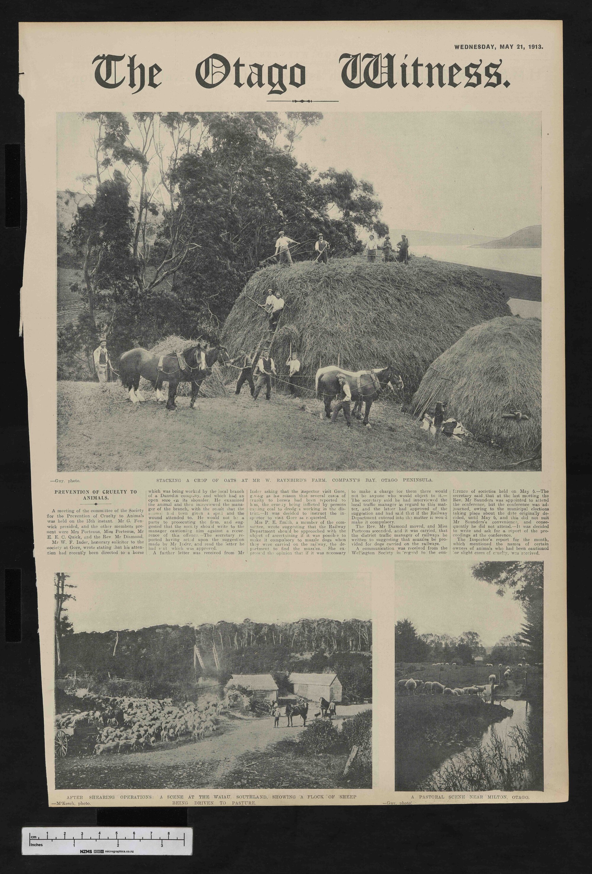 1913-05-21 Otago Witness