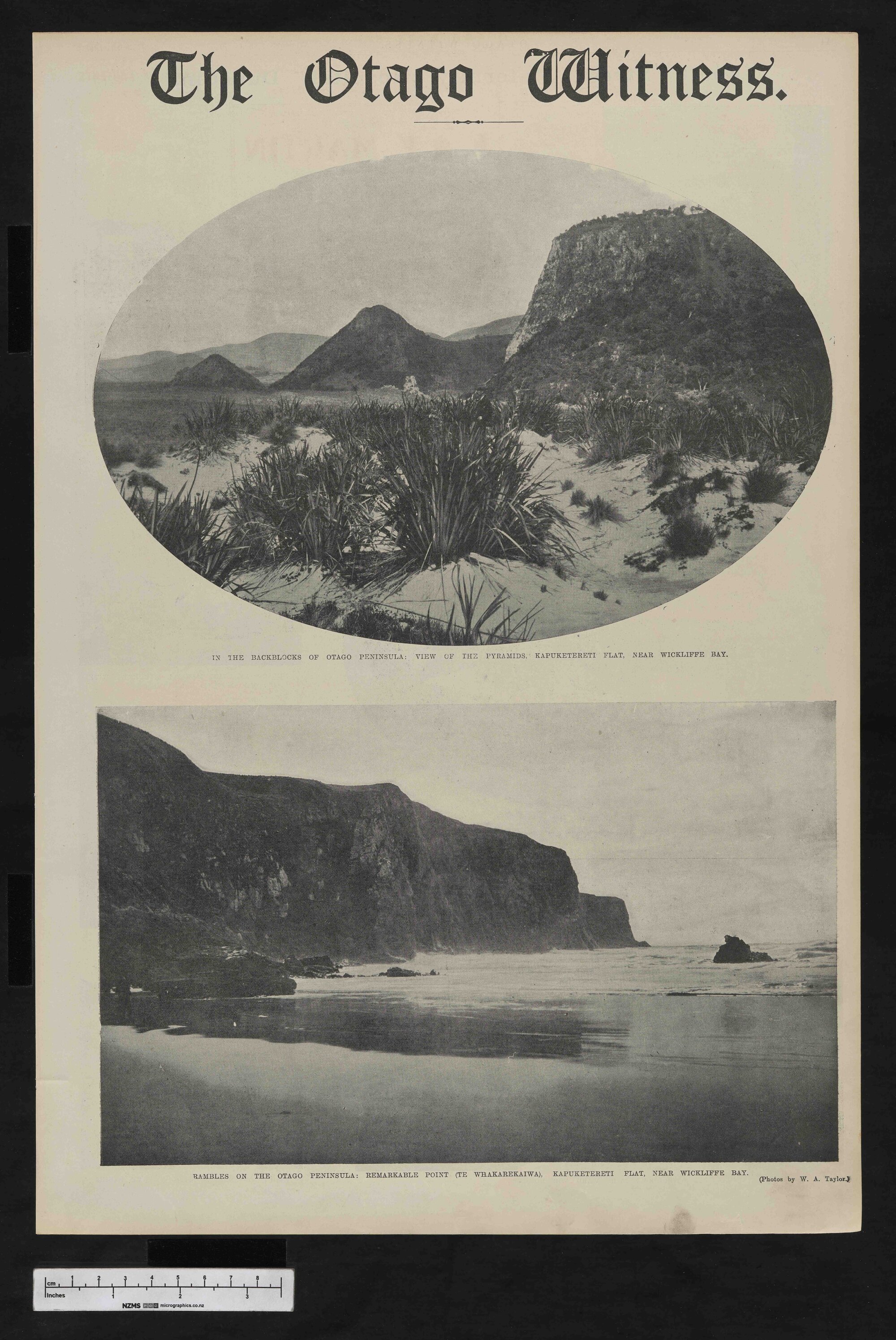 1913-06-18 Otago Witness