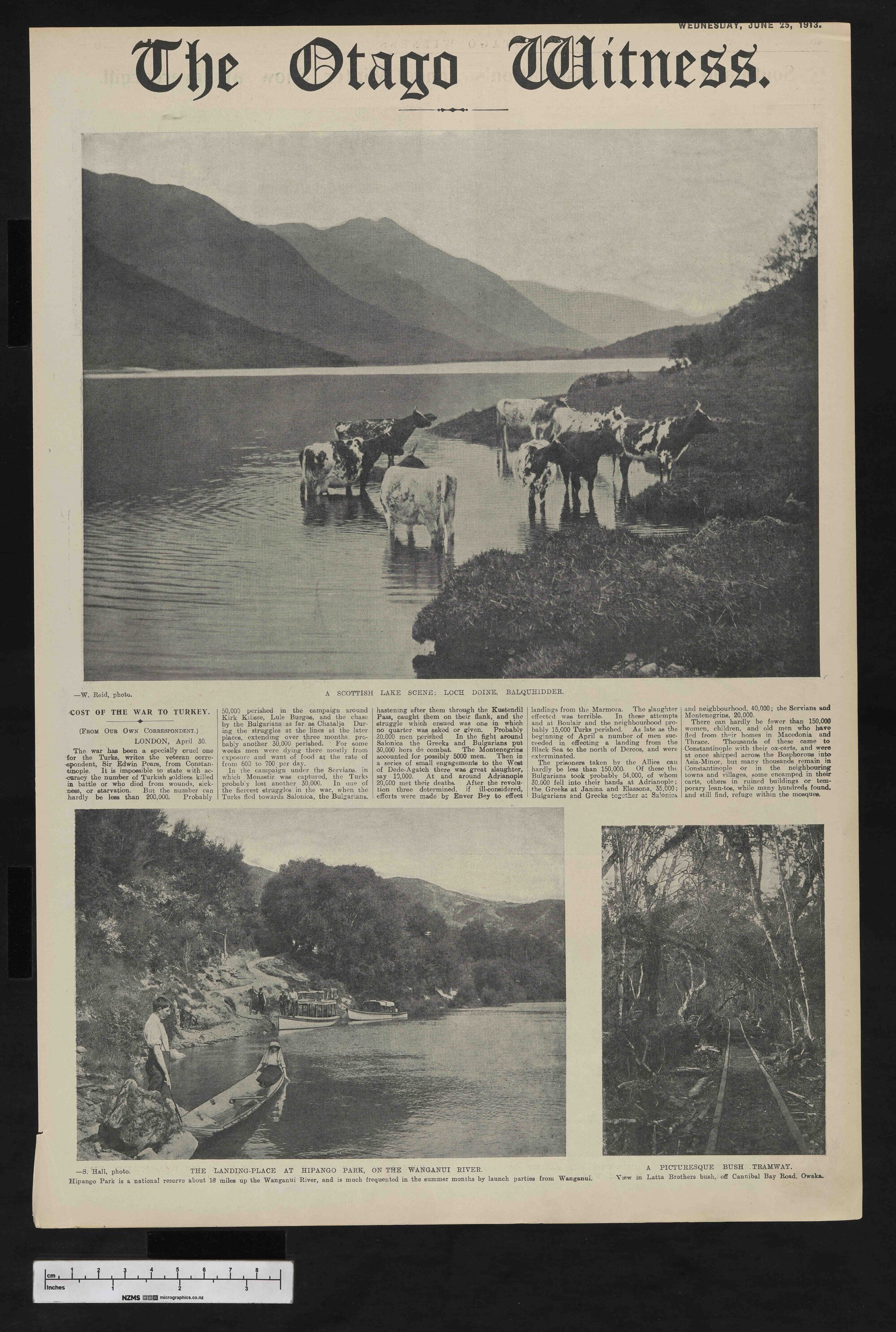 1913-06-25 Otago Witness