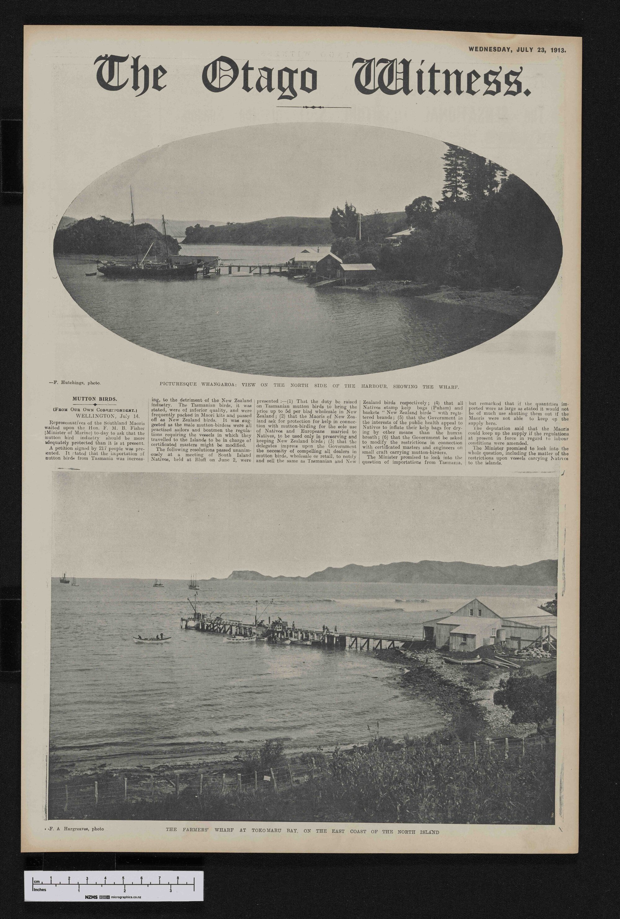 1913-07-23 Otago Witness