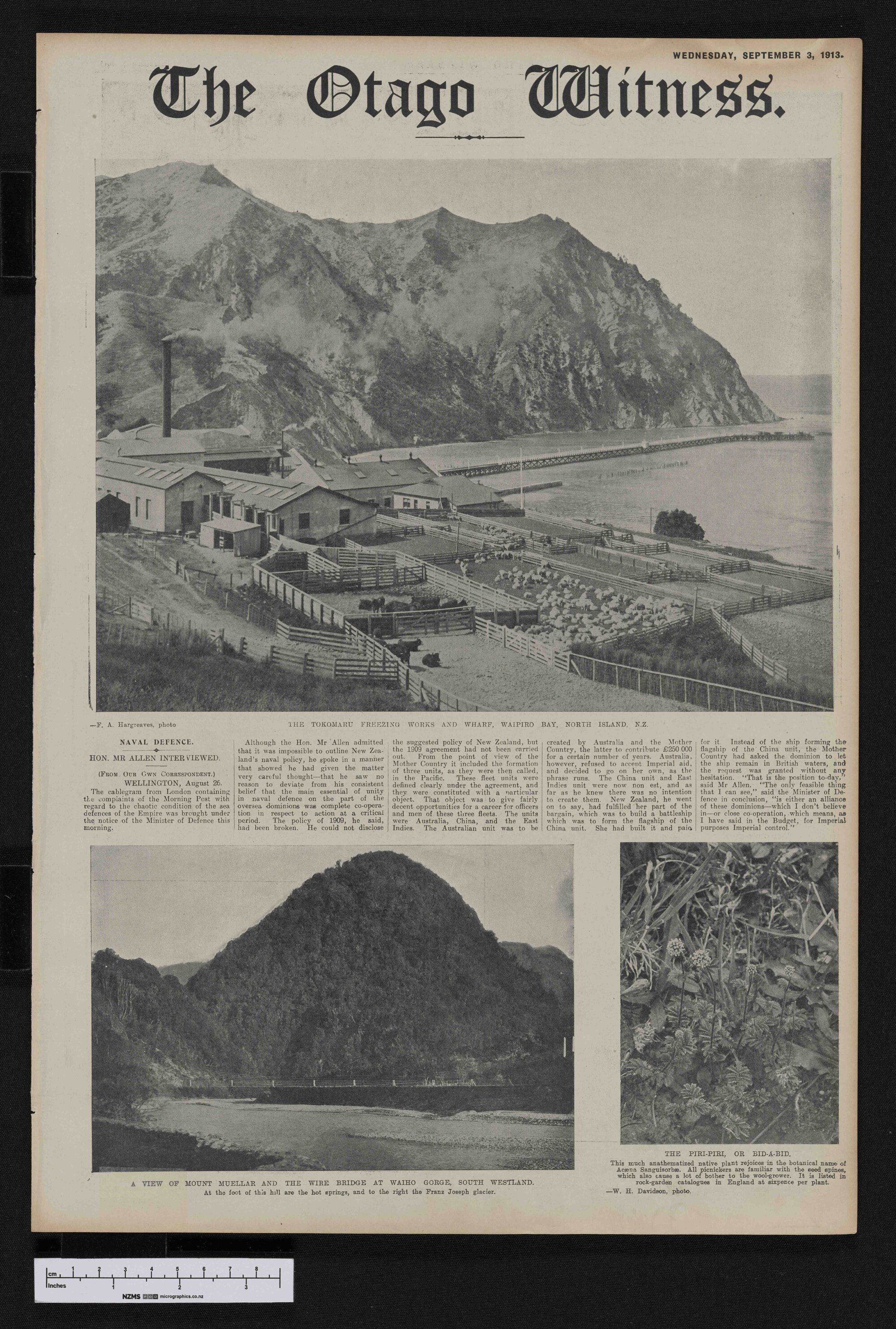 1913-09-03 Otago Witness