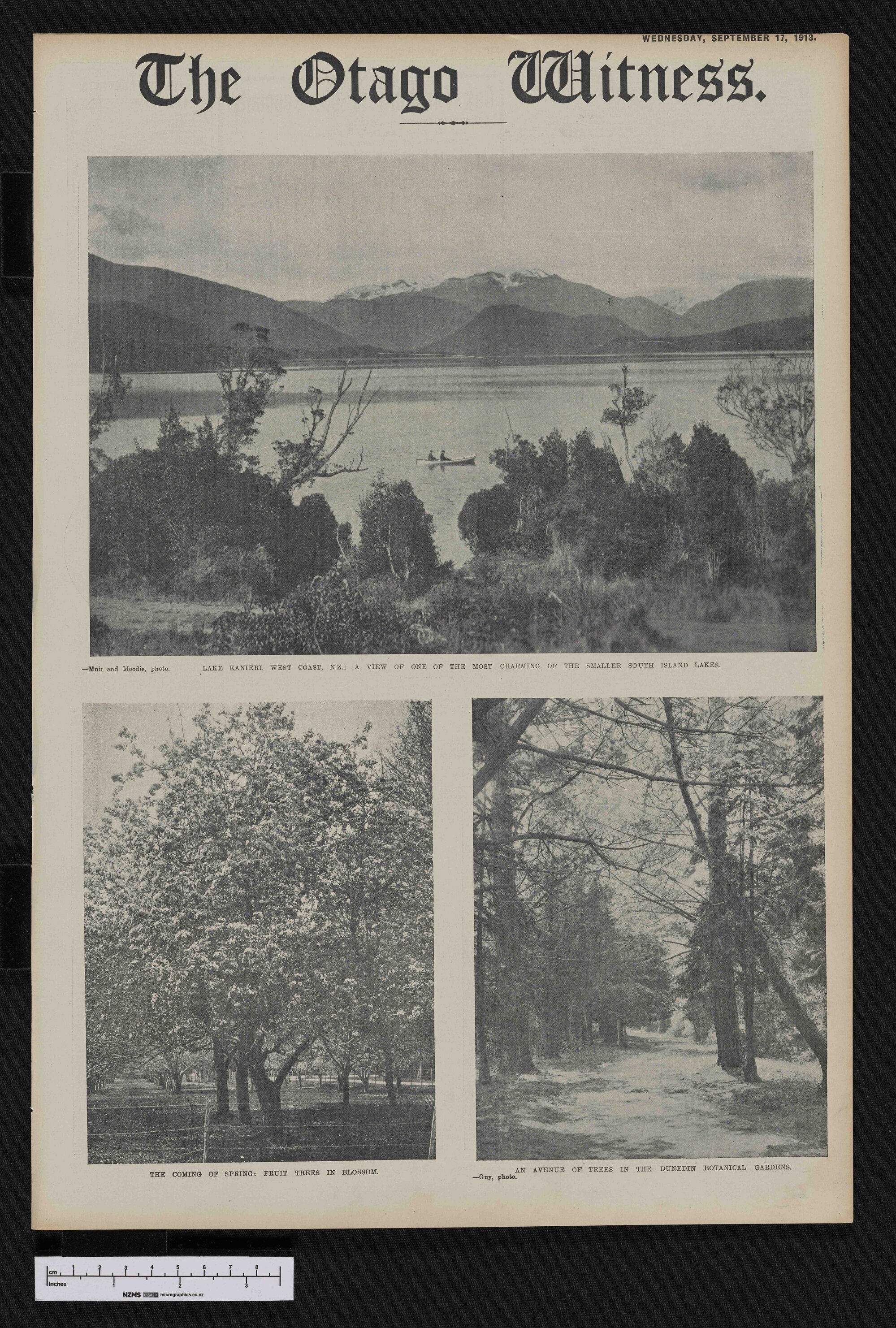 1913-09-17 Otago Witness