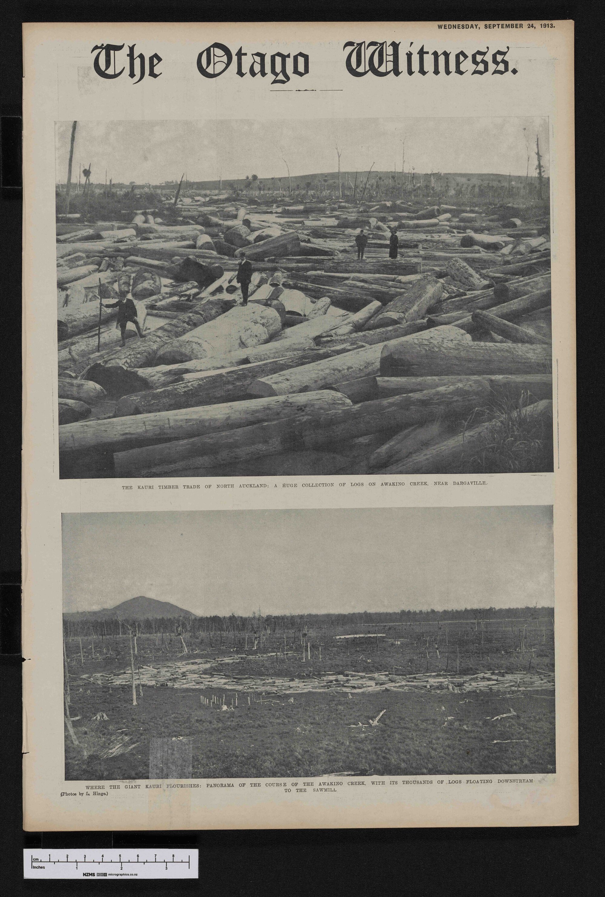 1913-09-24 Otago Witness