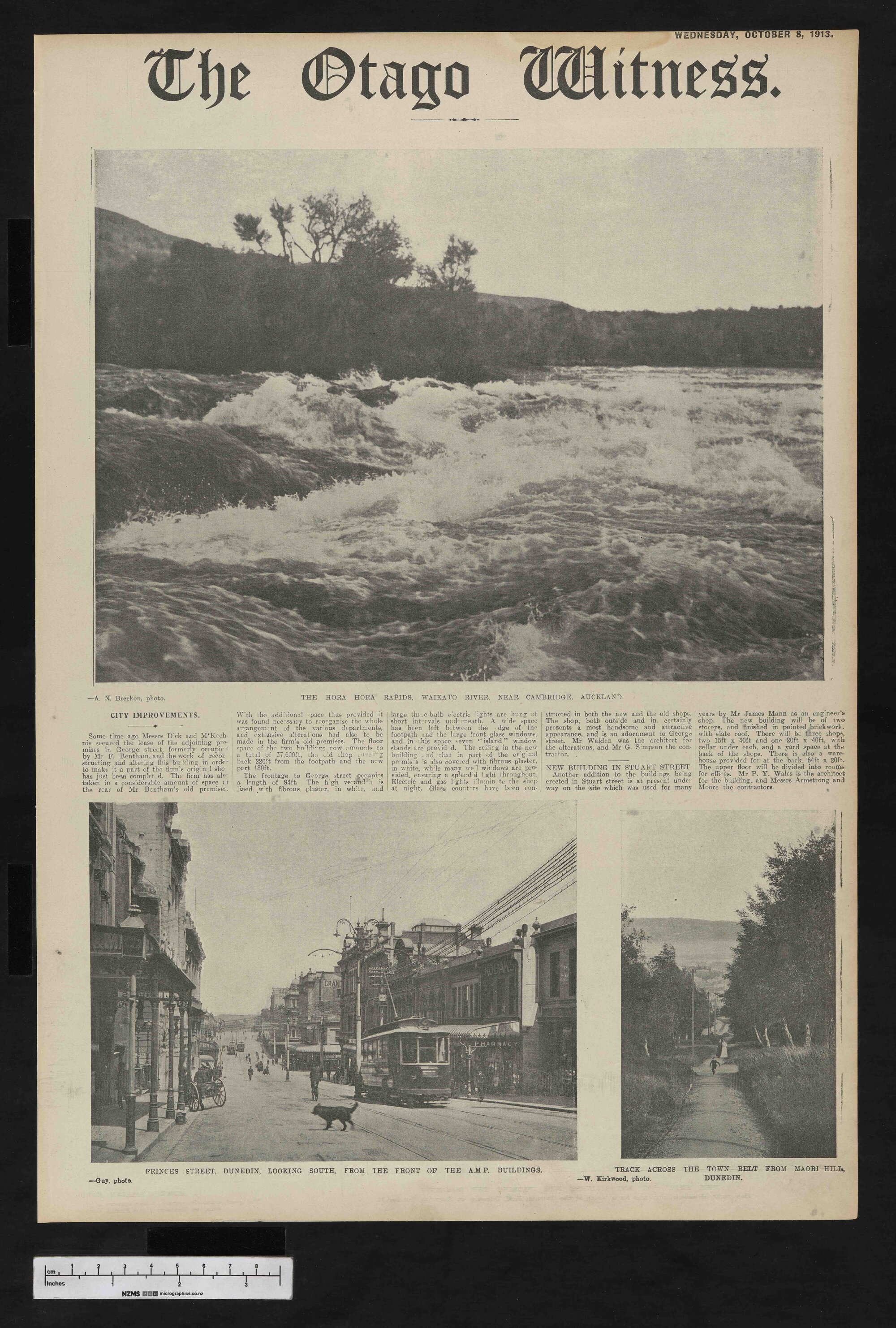 1913-10-08 Otago Witness