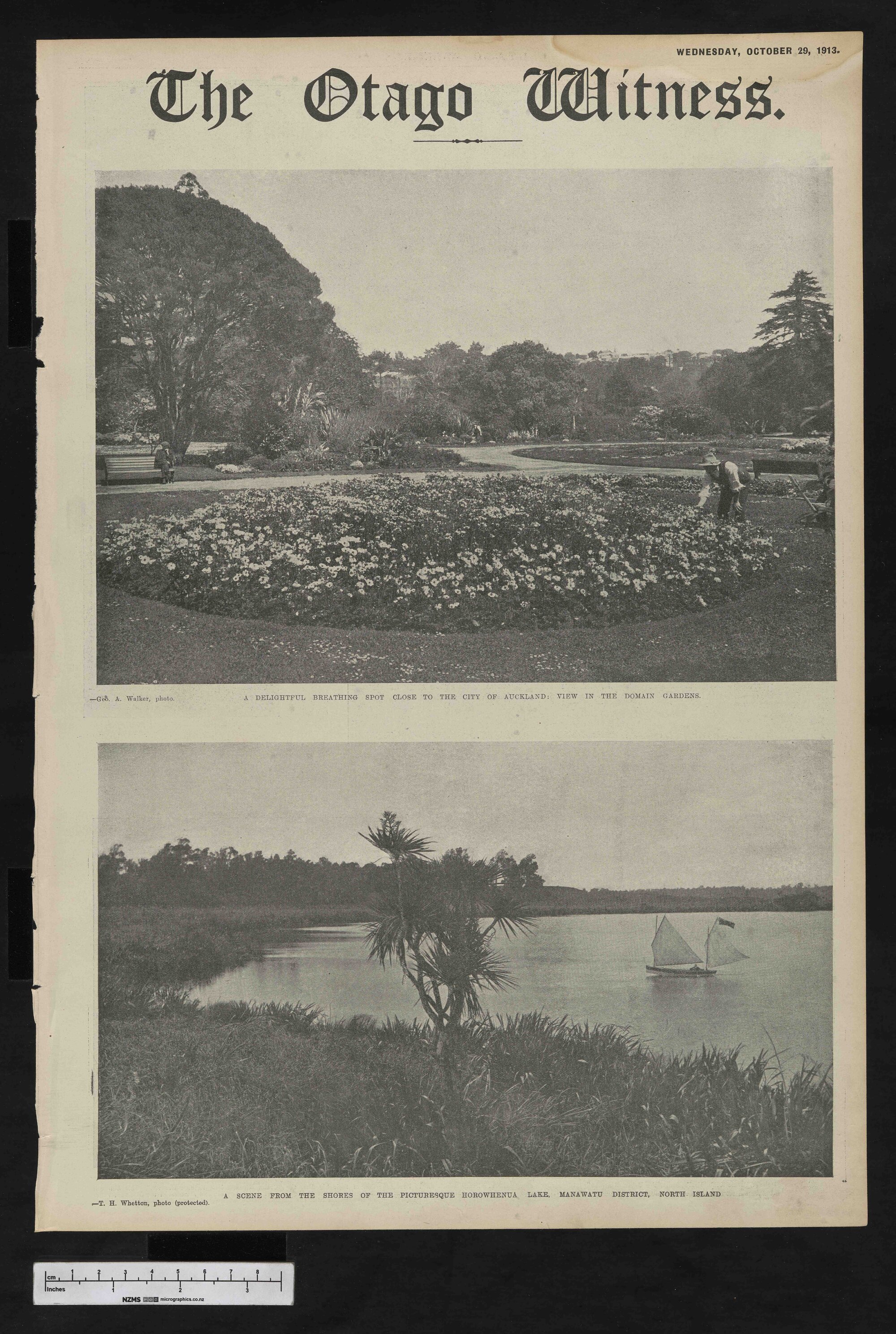 1913-10-29 Otago Witness