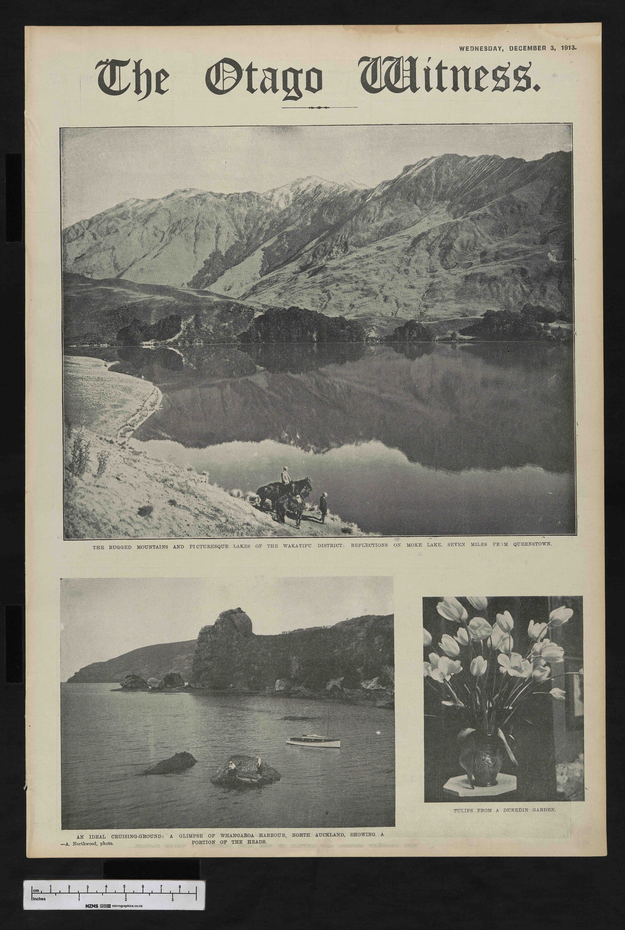 1913-12-03 Otago Witness