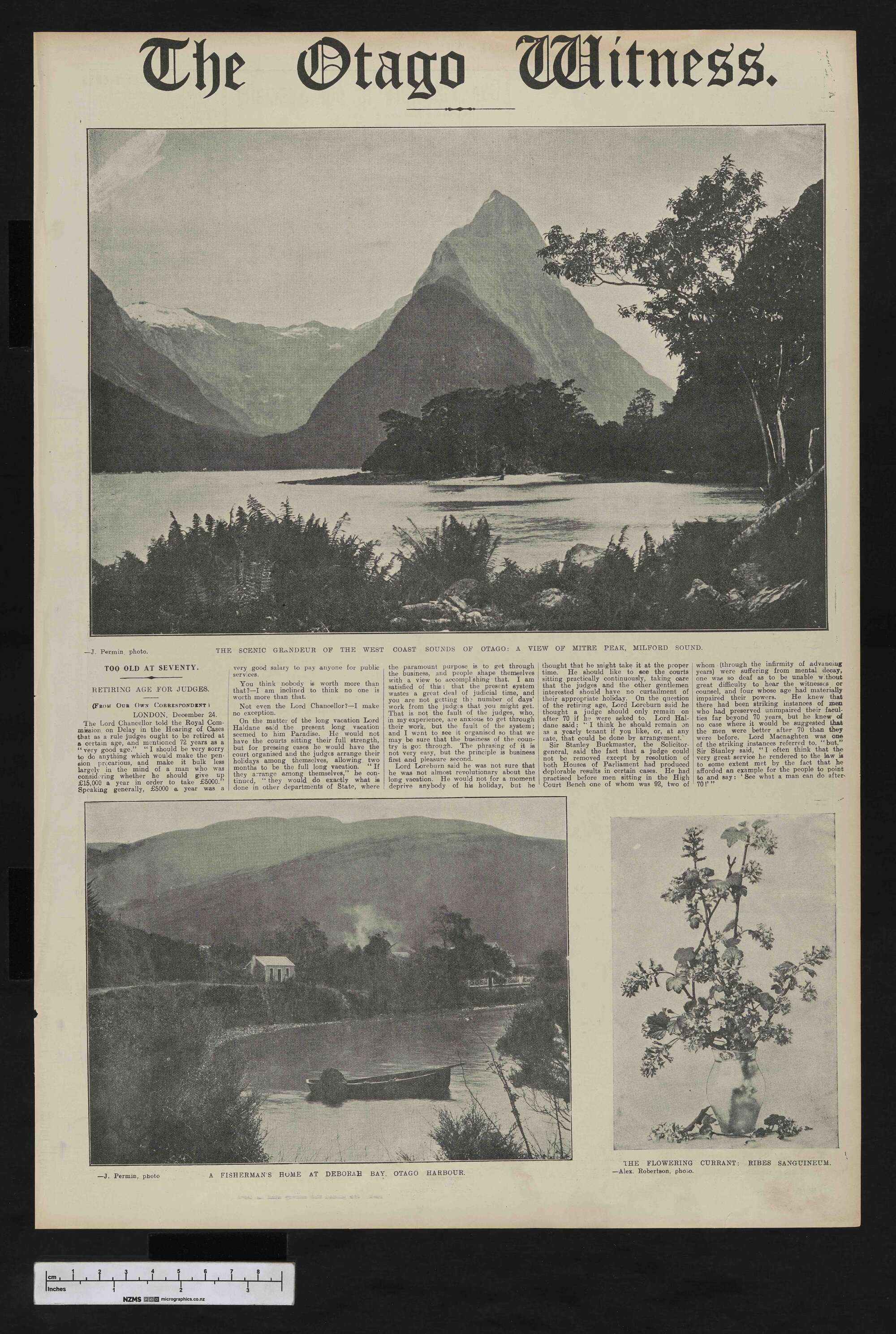 1914-02-18 Otago Witness