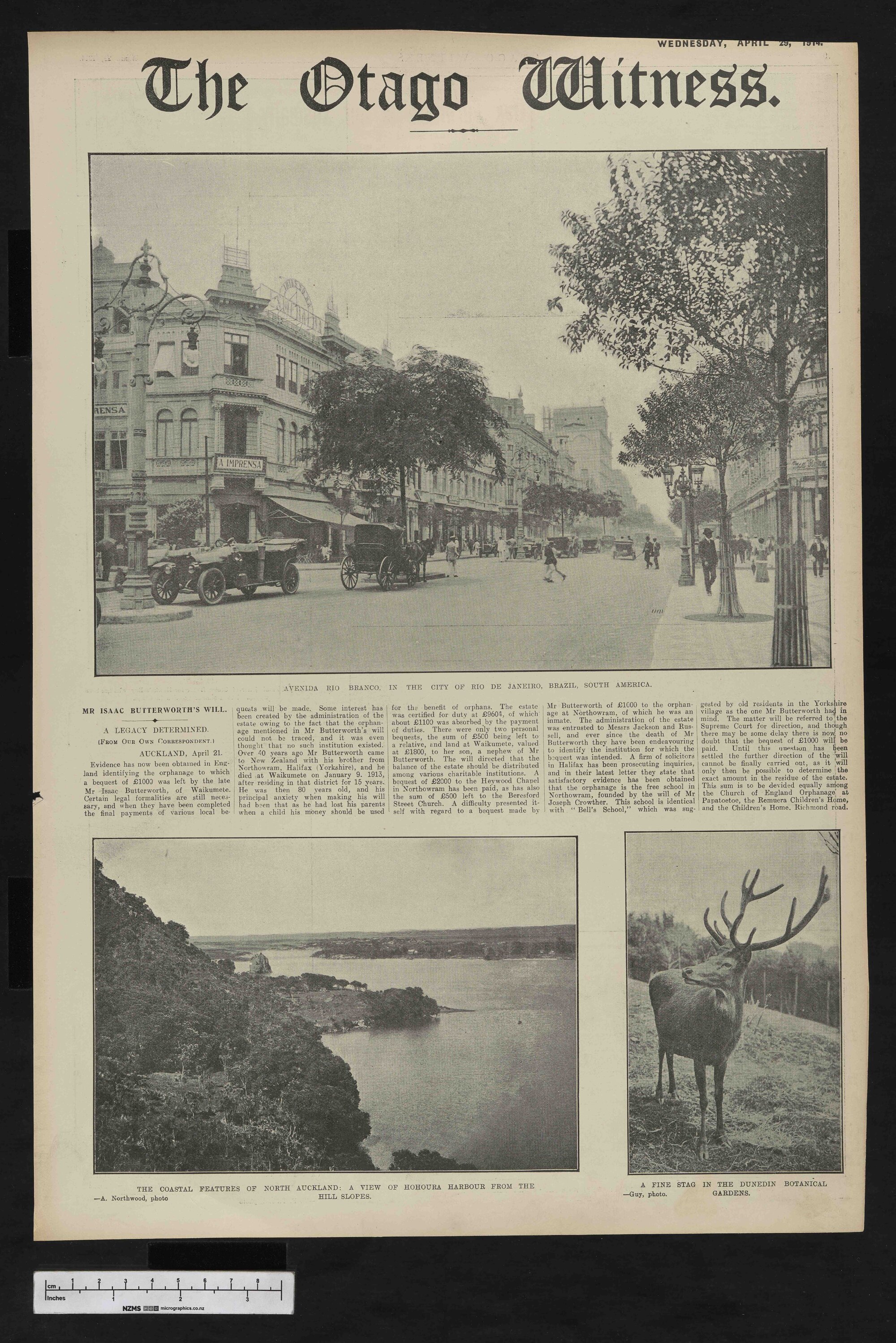 1914-04-29 Otago Witness