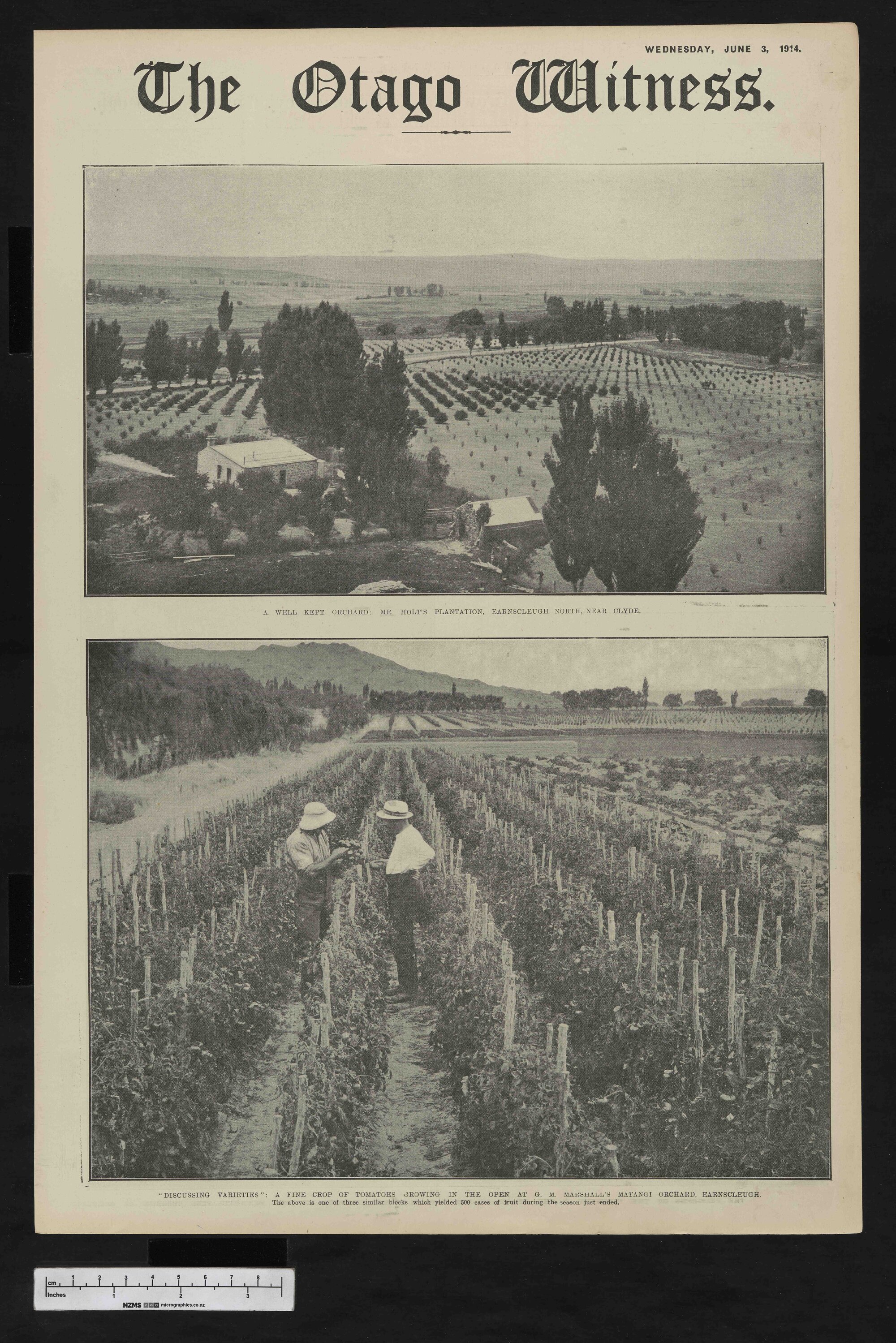 1914-06-03 Otago Witness