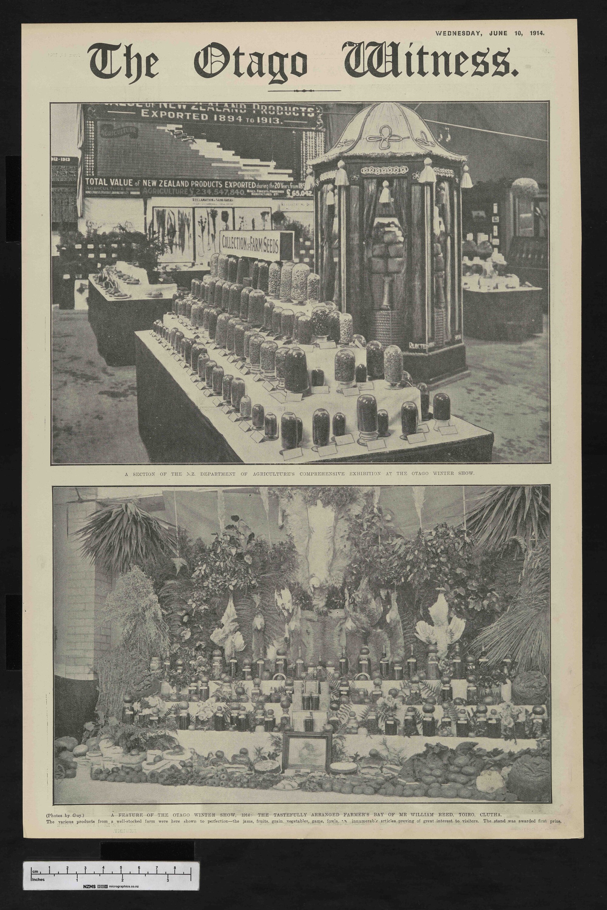 1914-06-10 Otago Witness