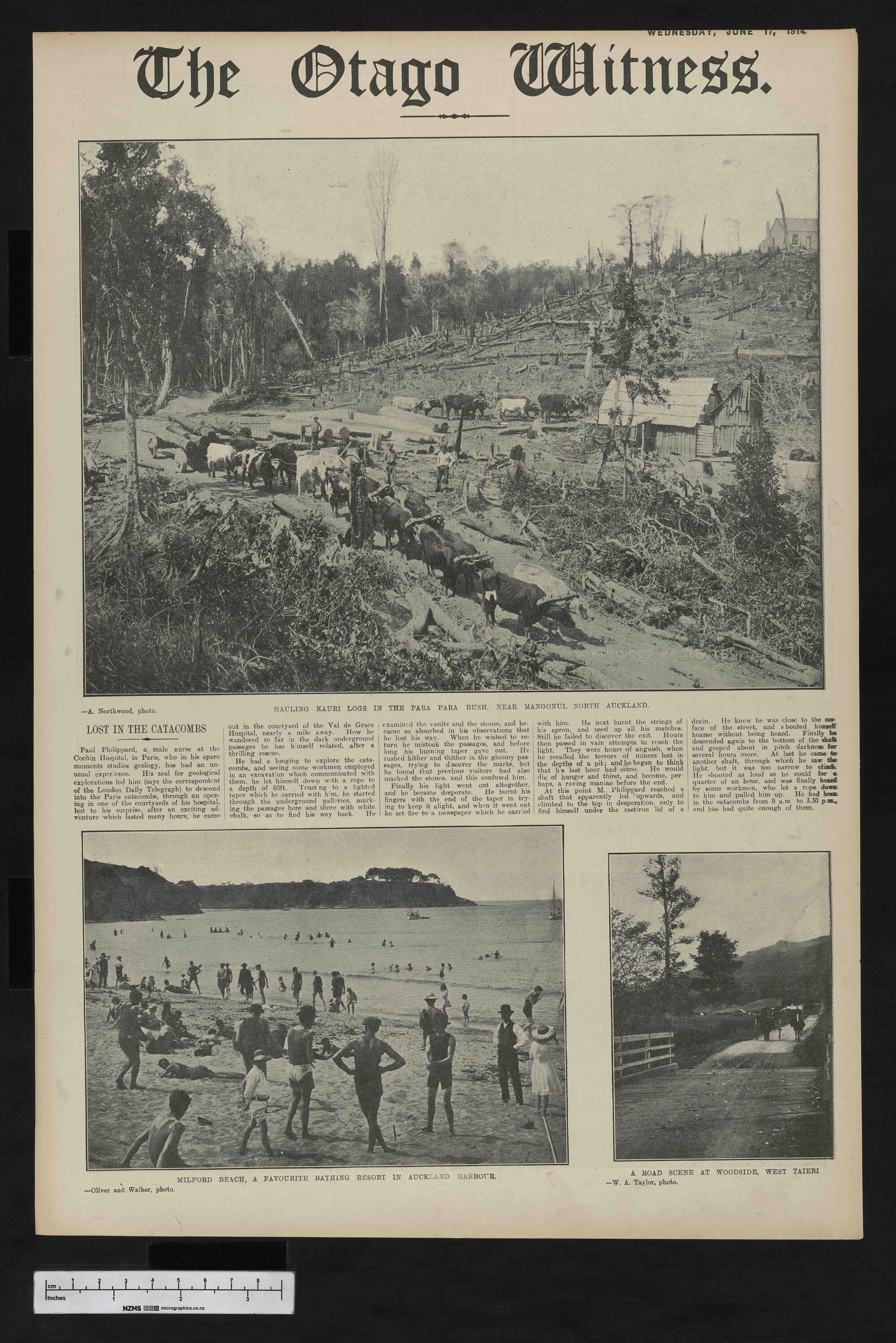 1914-06-17 Otago Witness