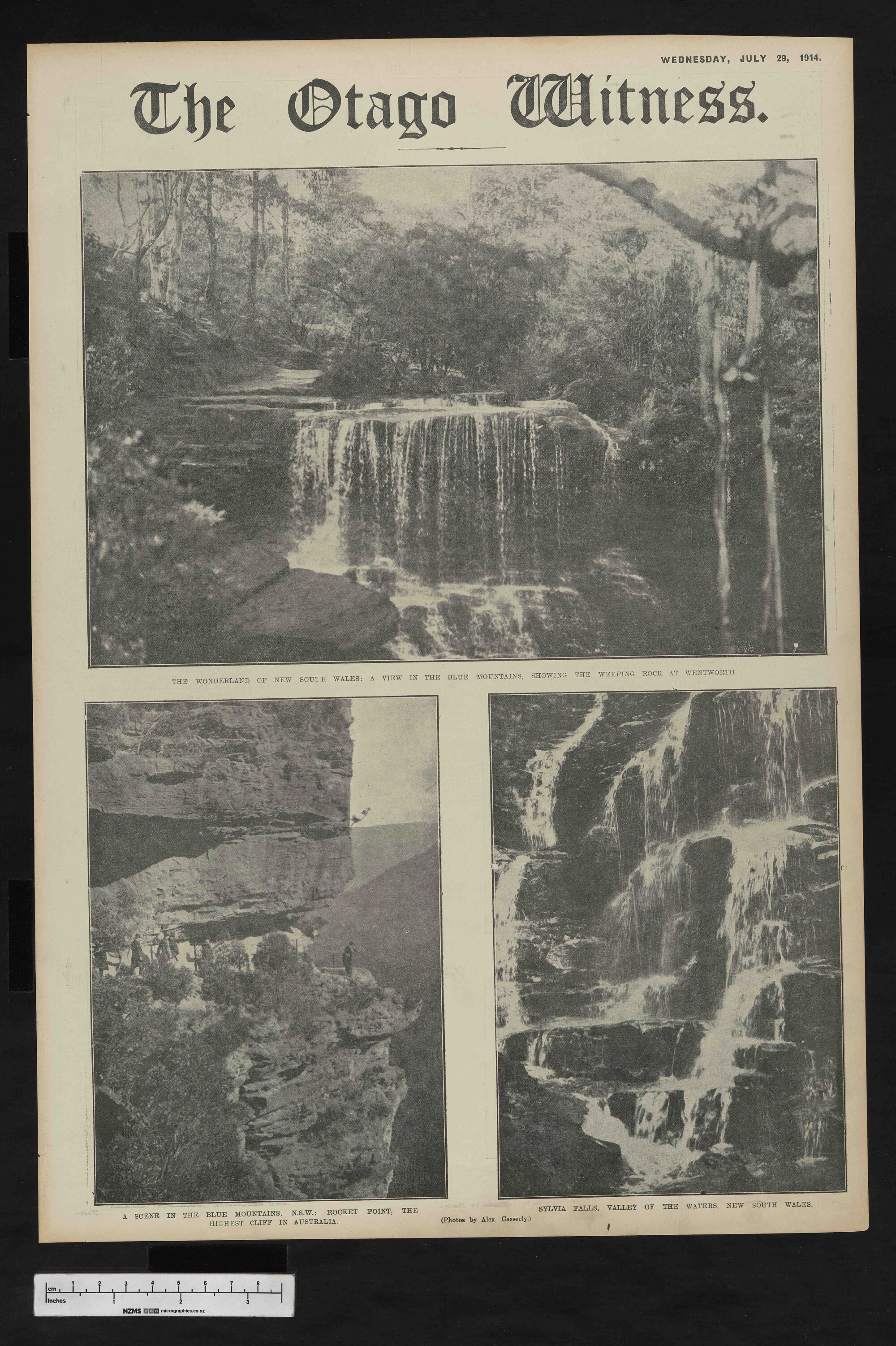 1914-07-29 Otago Witness