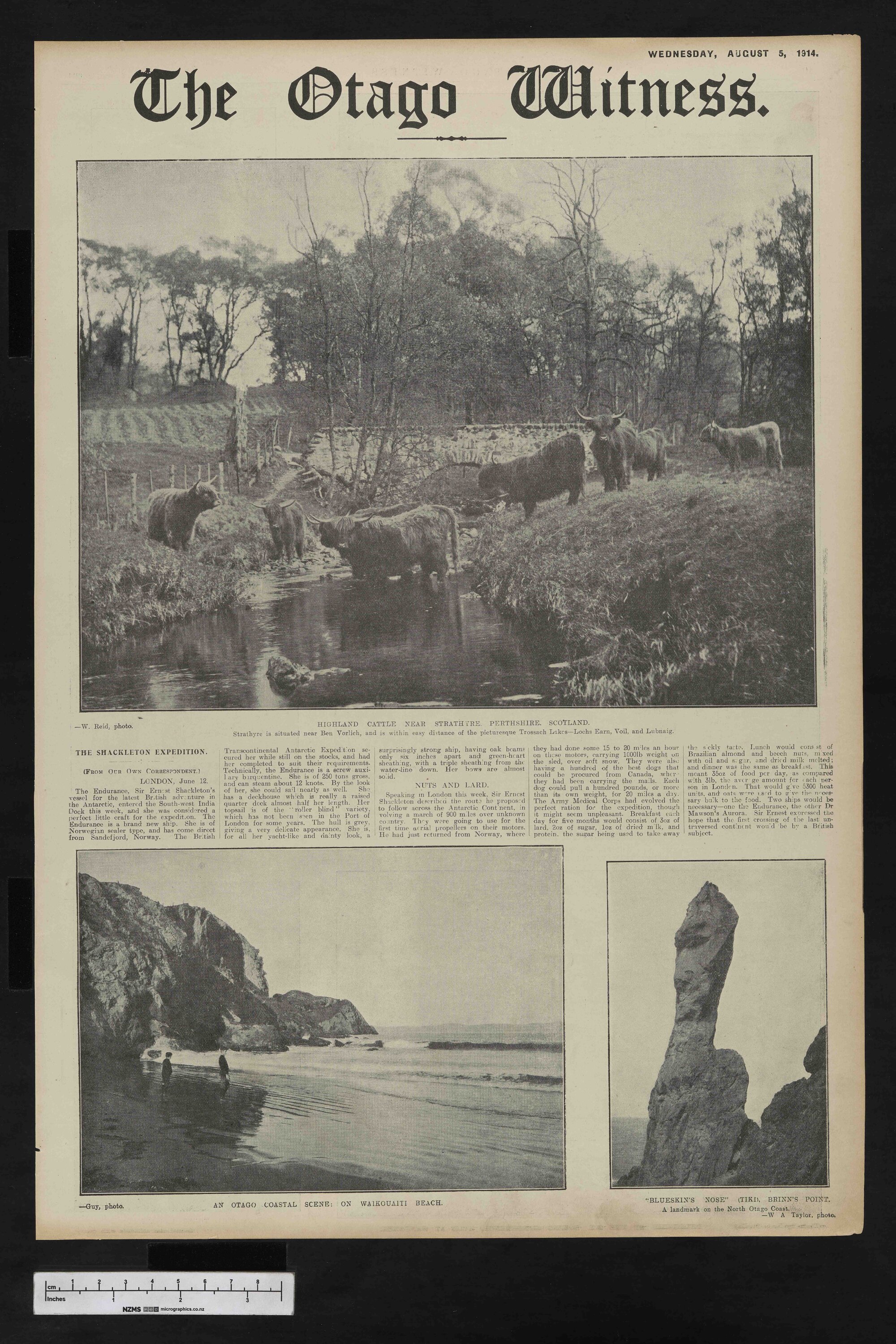 1914-08-05 Otago Witness