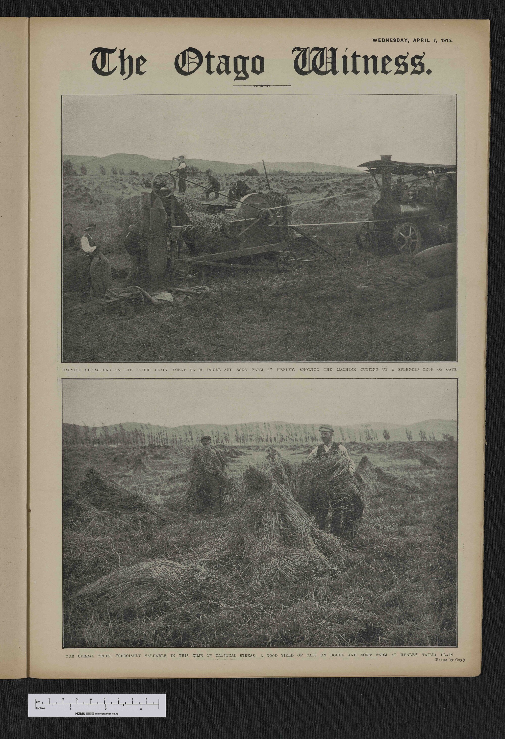 1915-04-07 Otago Witness