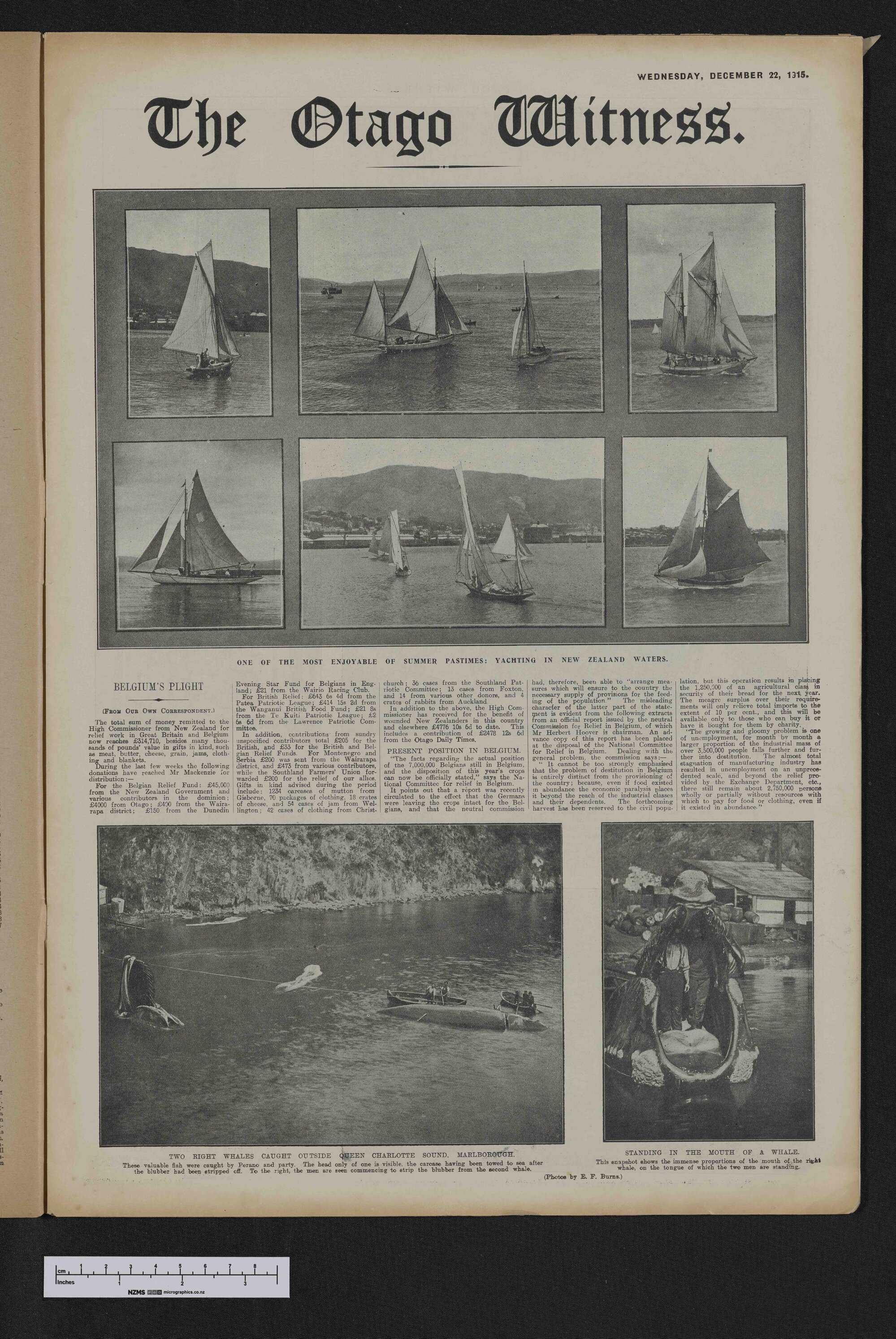1915-12-22 Otago Witness