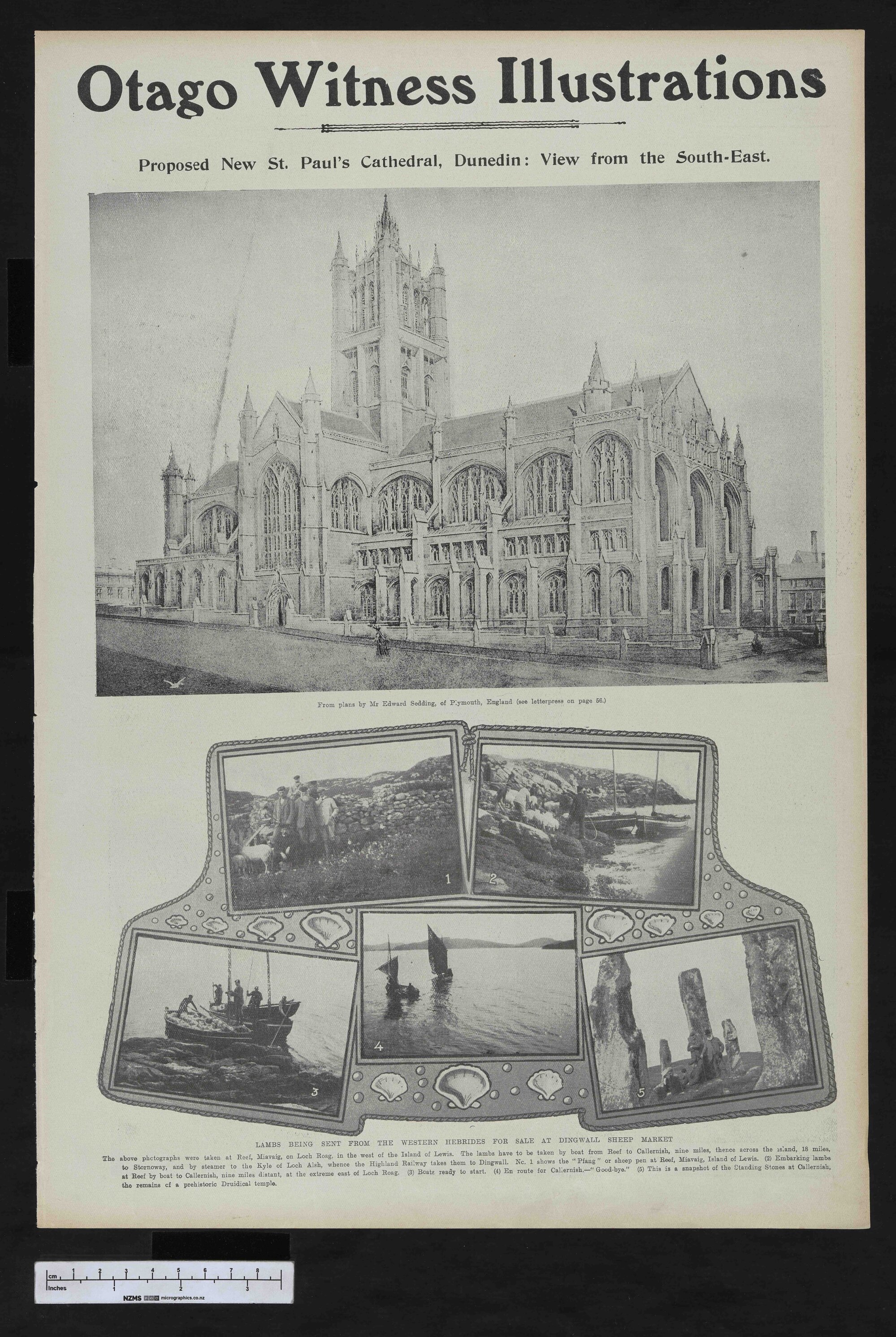 1907-01-23 Otago Witness