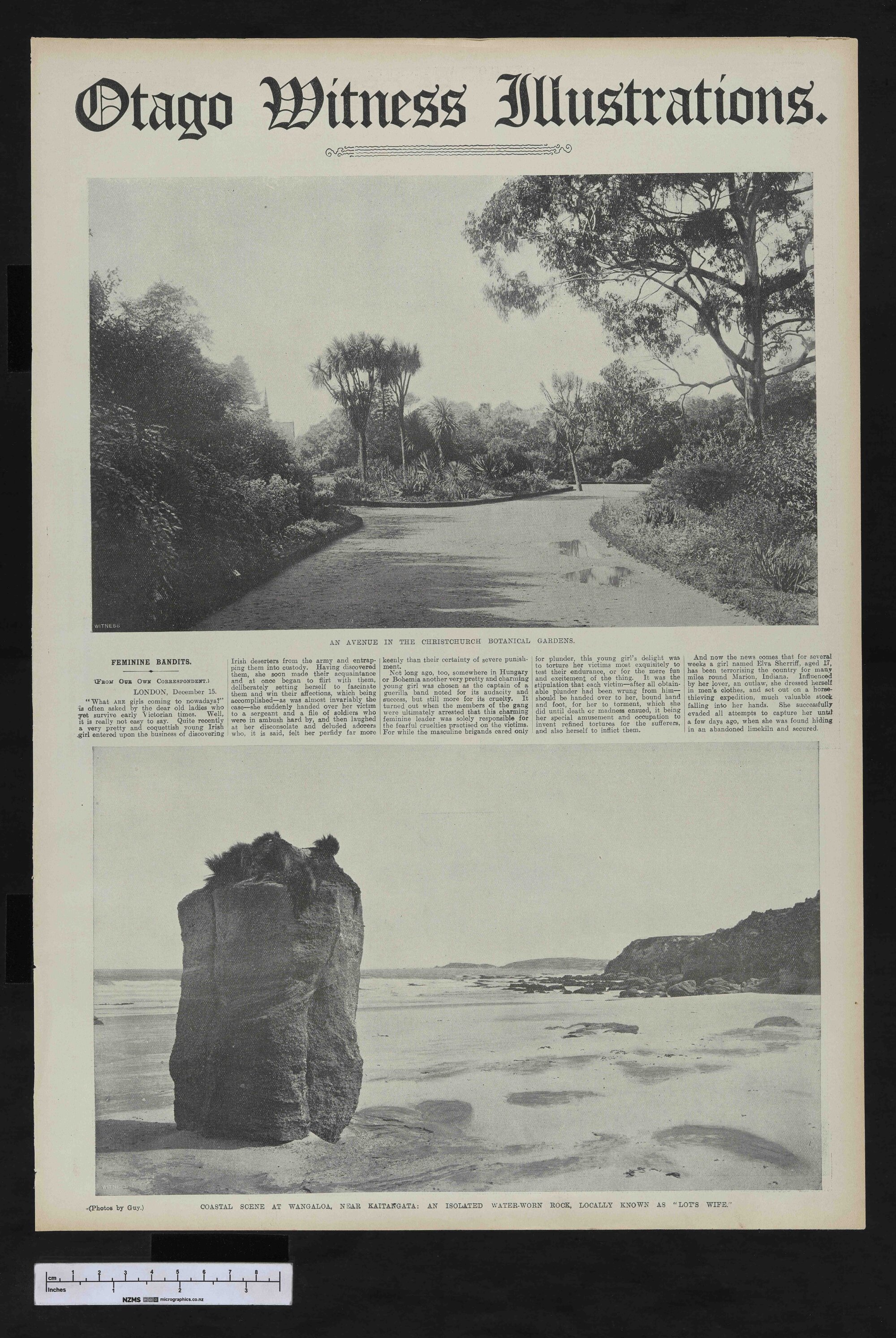 1907-02-20 Otago Witness
