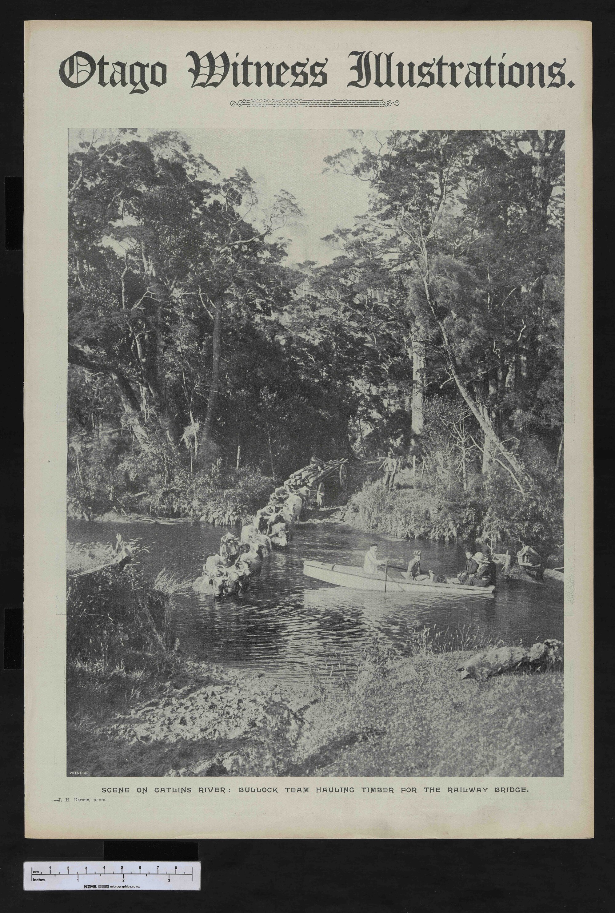 1907-03-13 Otago Witness