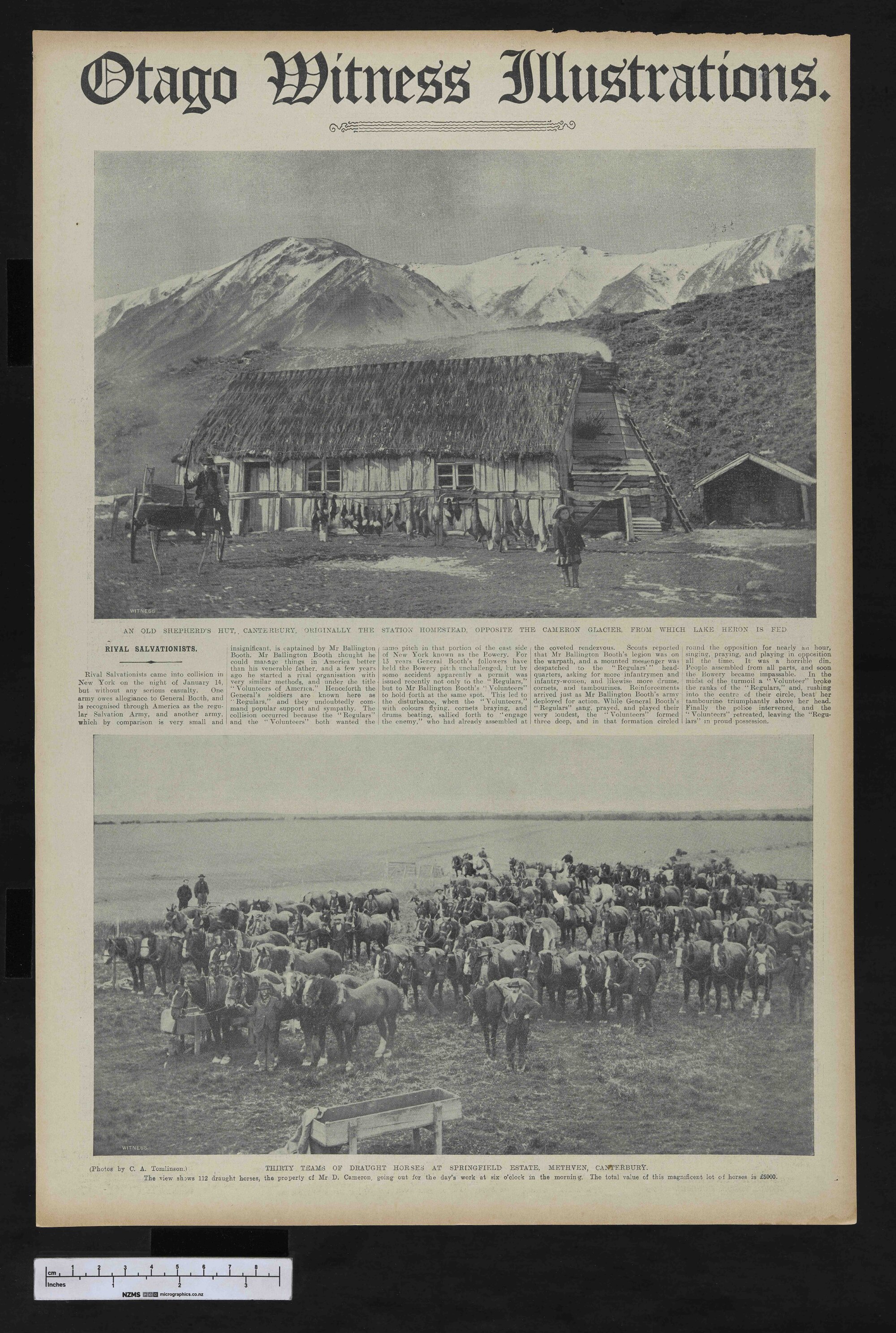 1907-04-17 Otago Witness