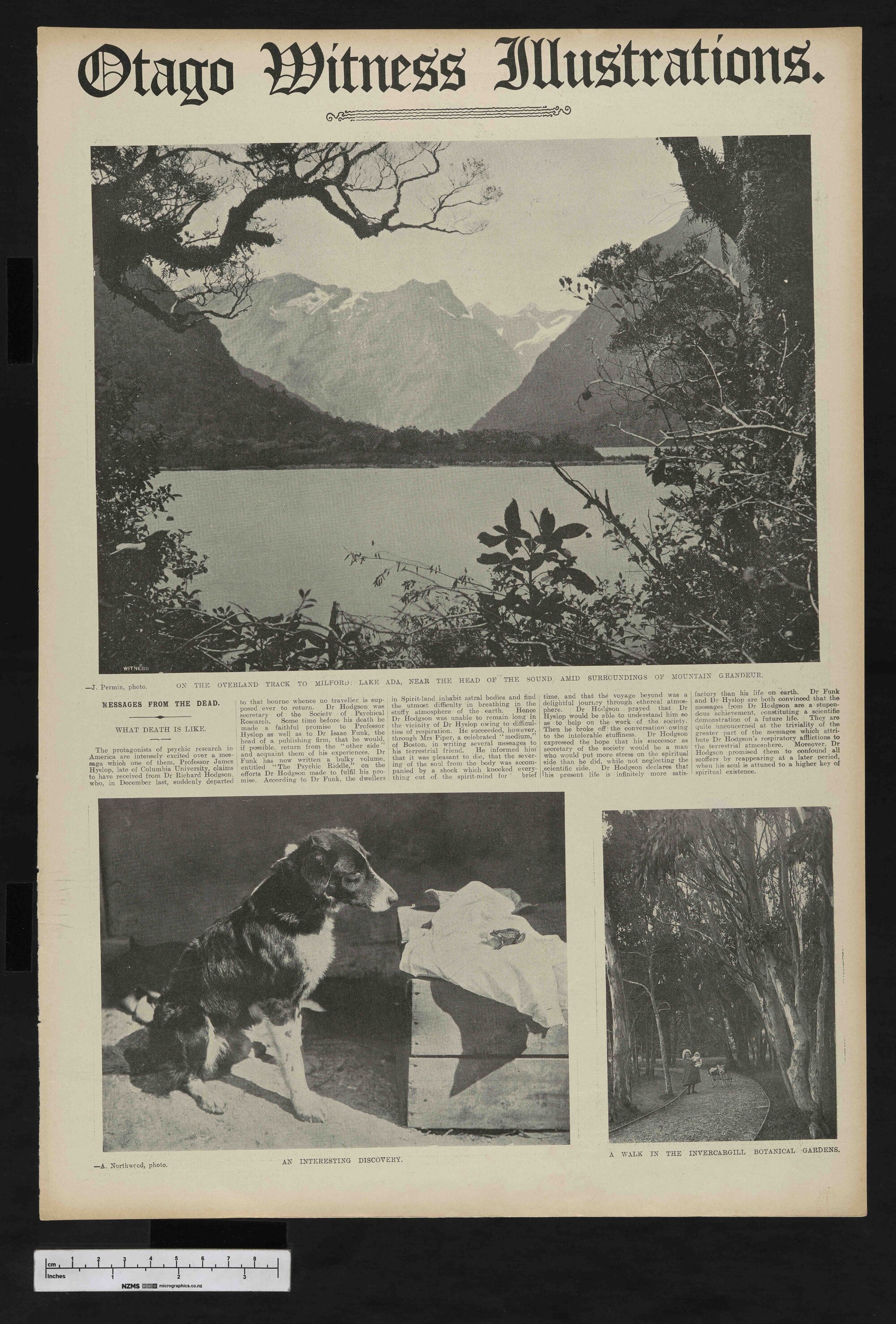 1907-05-29 Otago Witness