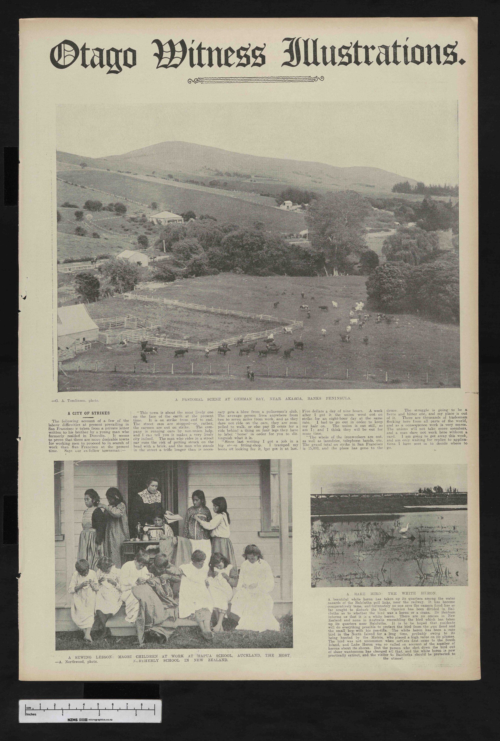 1907-07-24 Otago Witness