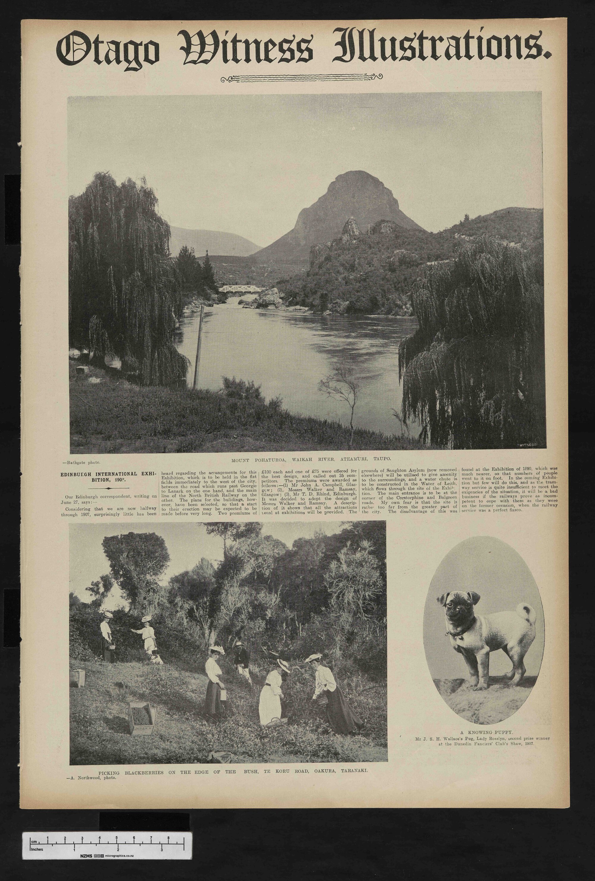 1907-08-14 Otago Witness