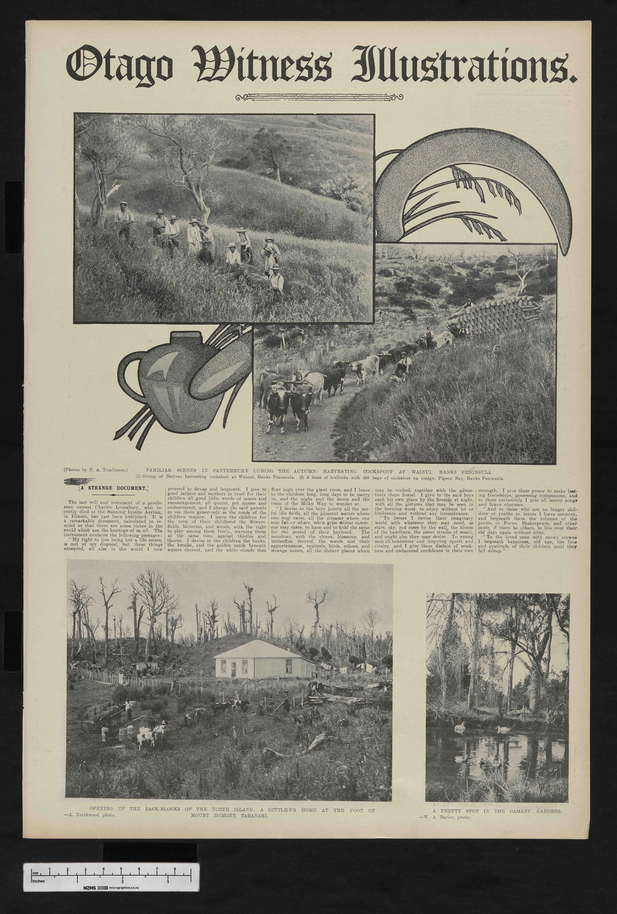 1907-08-21 Otago Witness