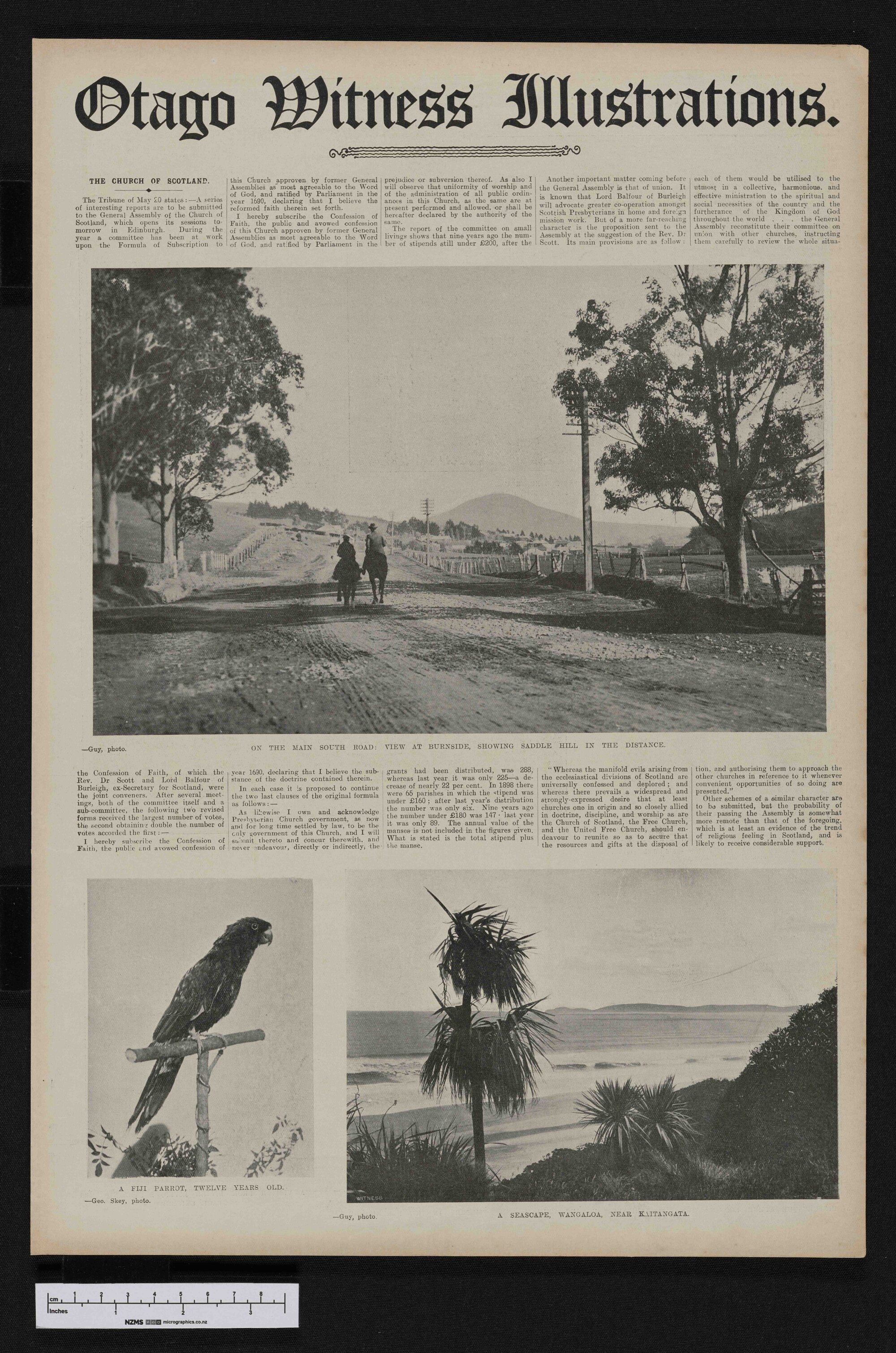 1907-09-11 Otago Witness