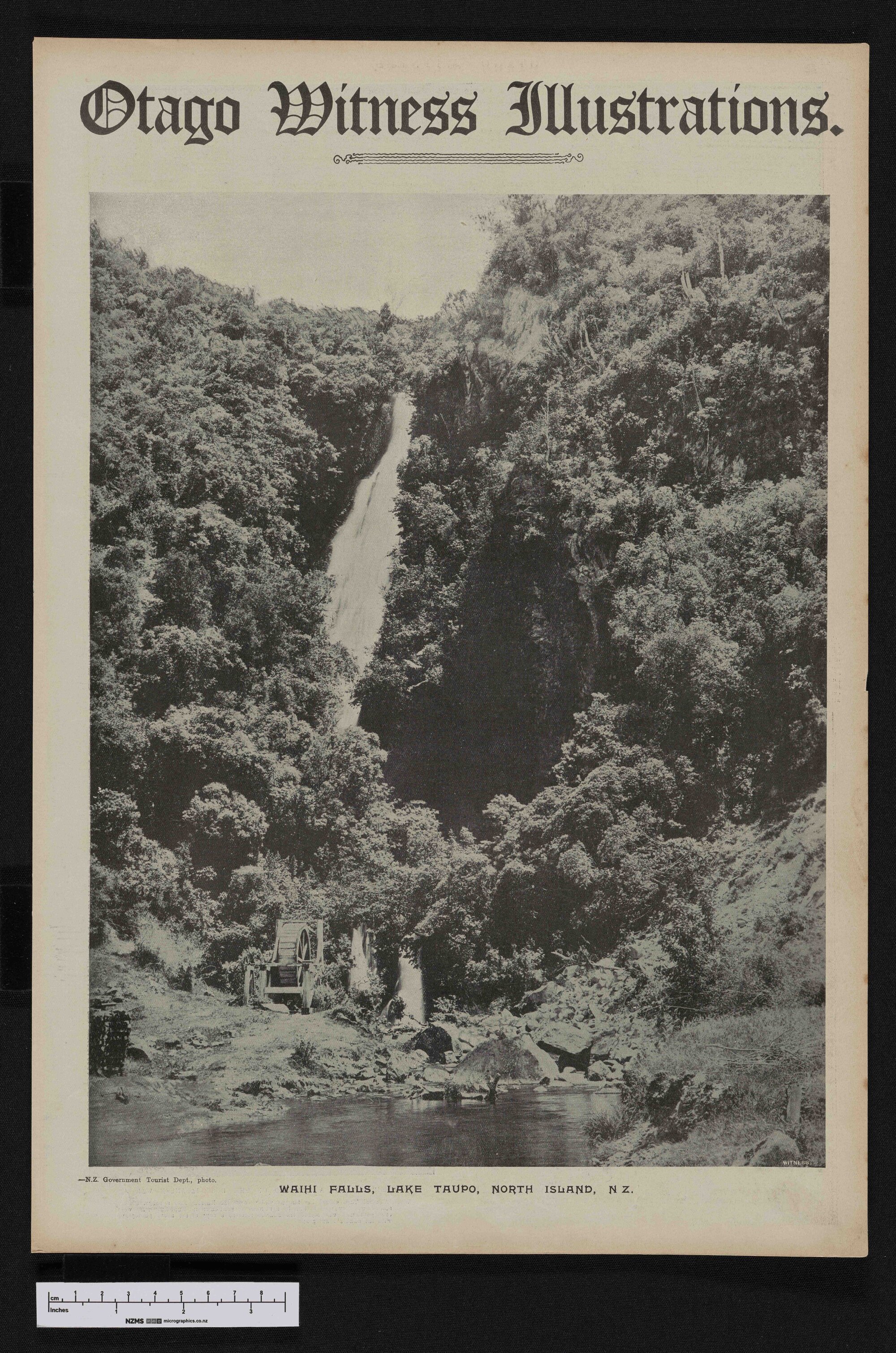 1907-09-18 Otago Witness