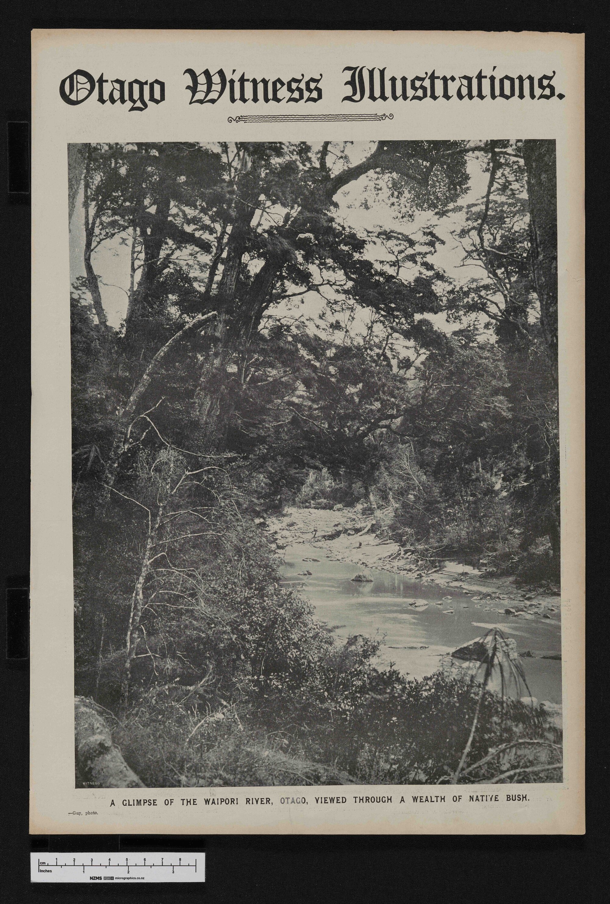 1907-10-09 Otago Witness