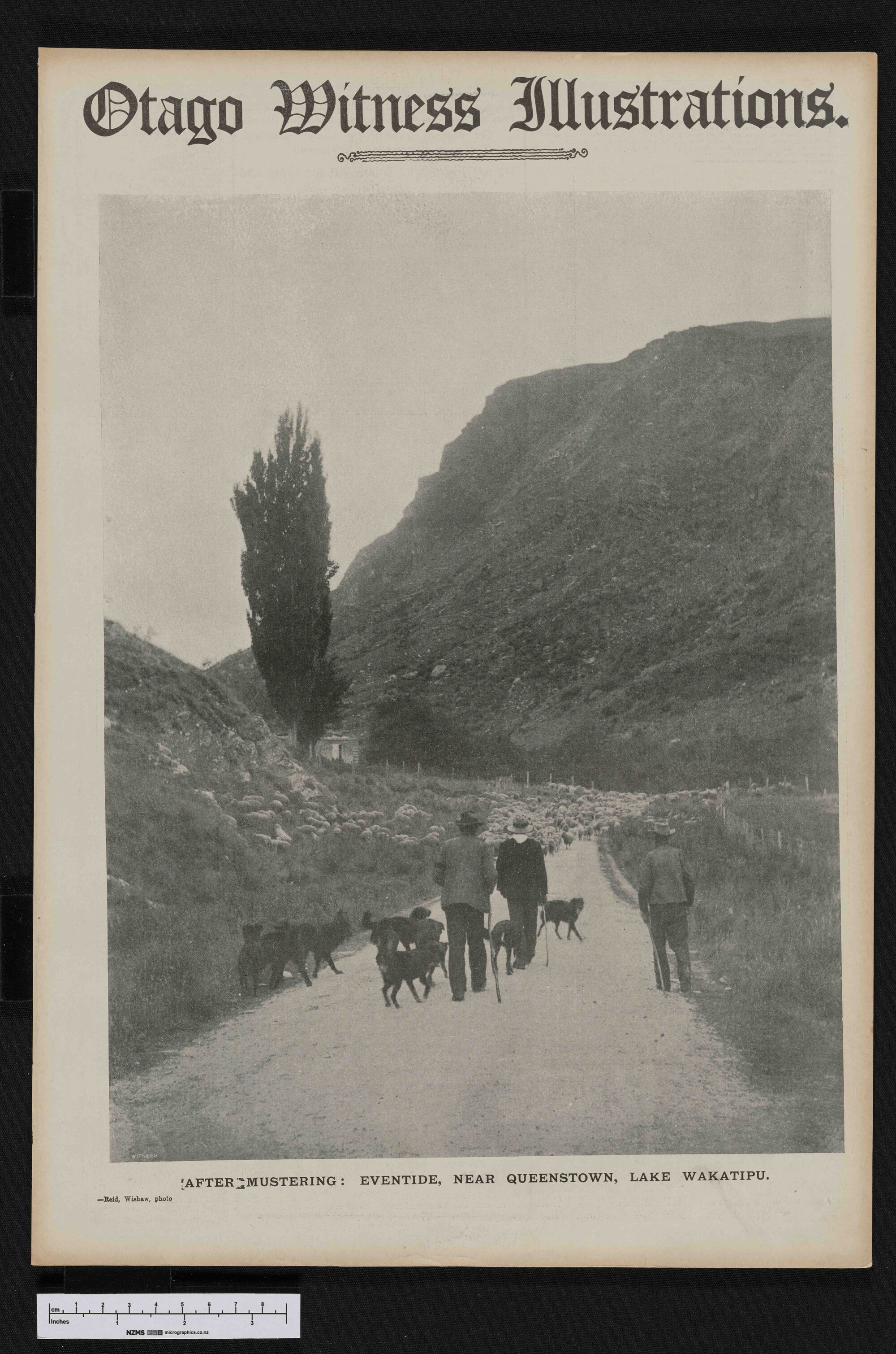 1907-11-13 Otago Witness