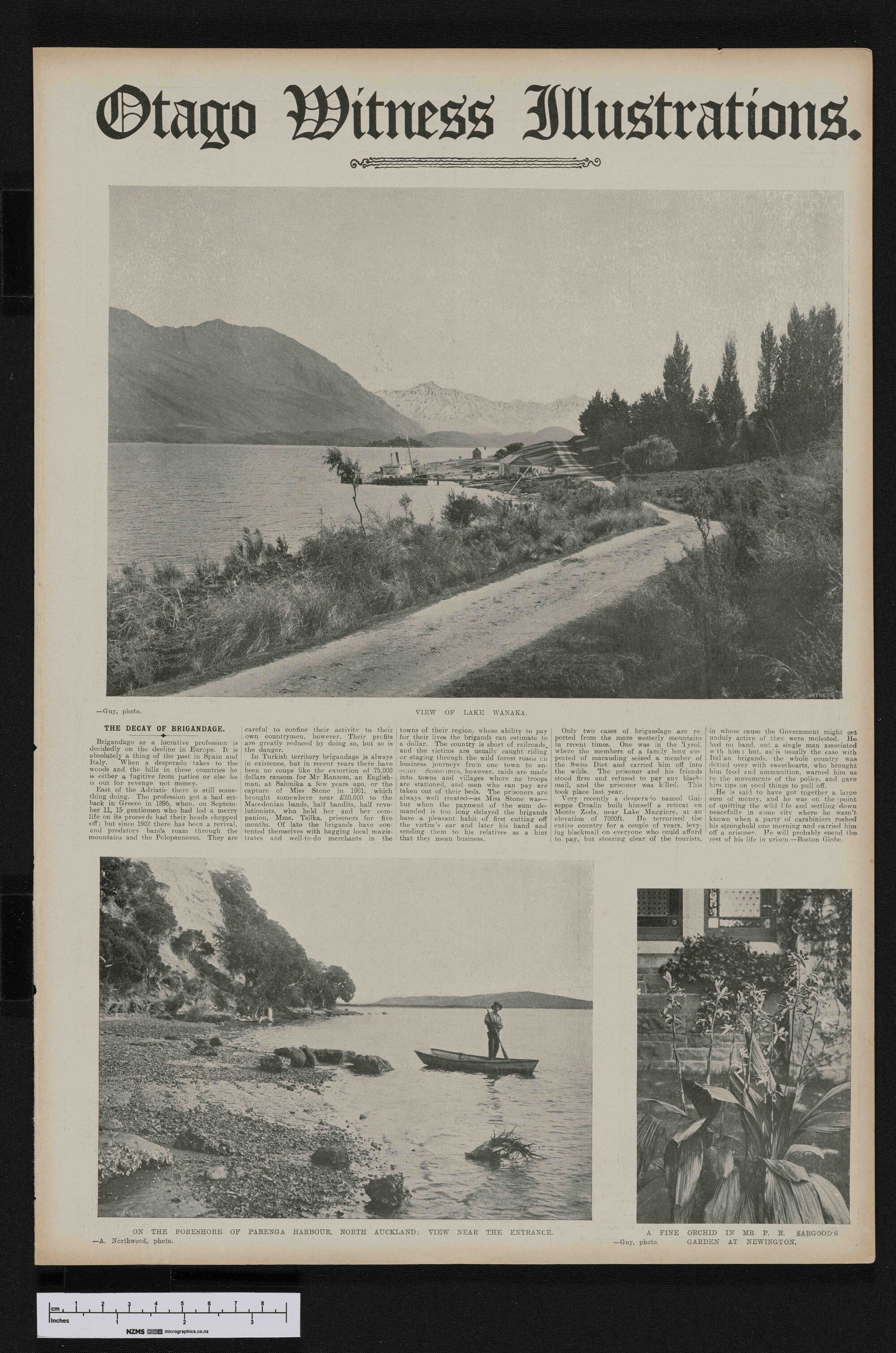 1907-11-20 Otago Witness