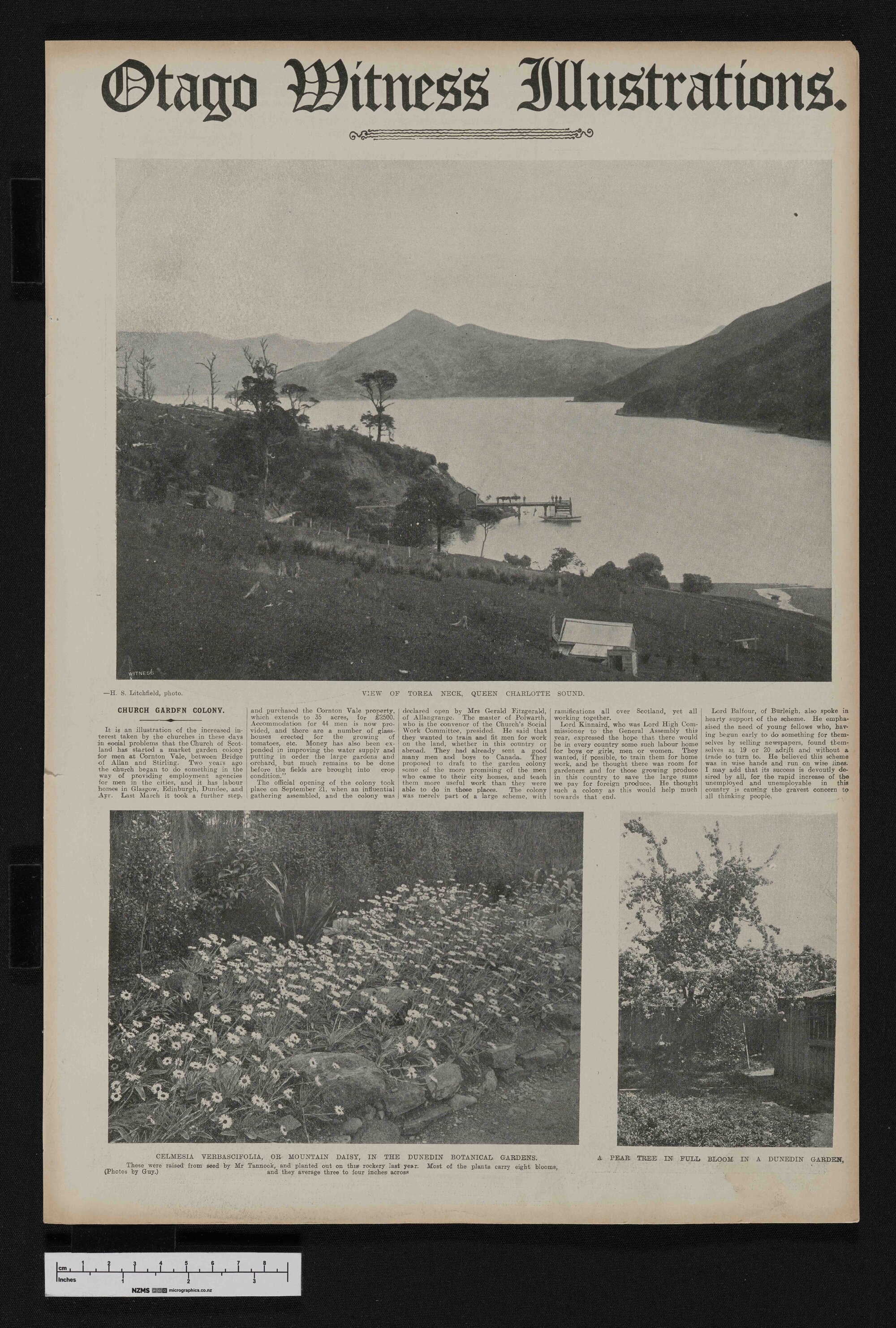 1907-11-27 Otago Witness